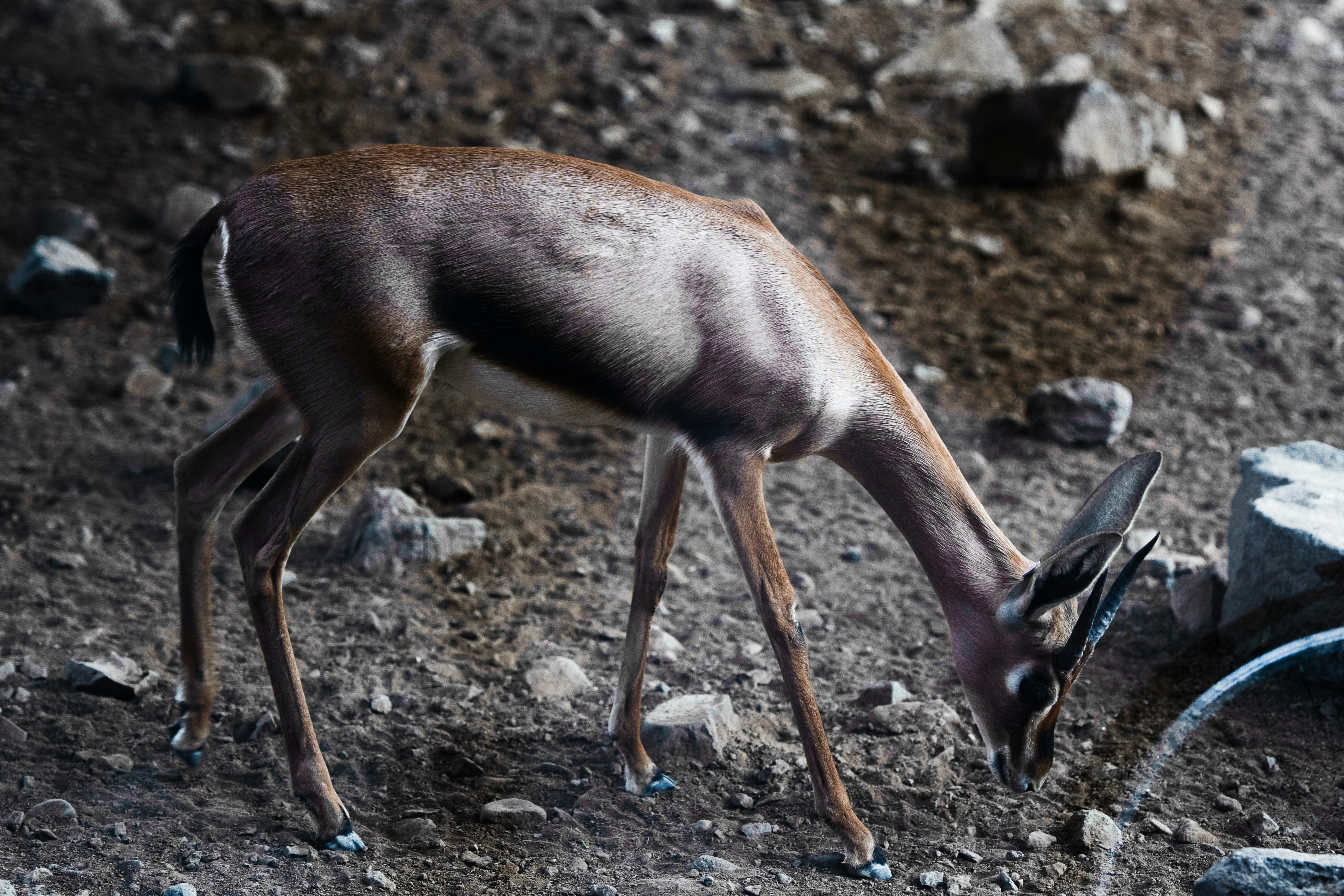 Photo by luanfonsecavisuals