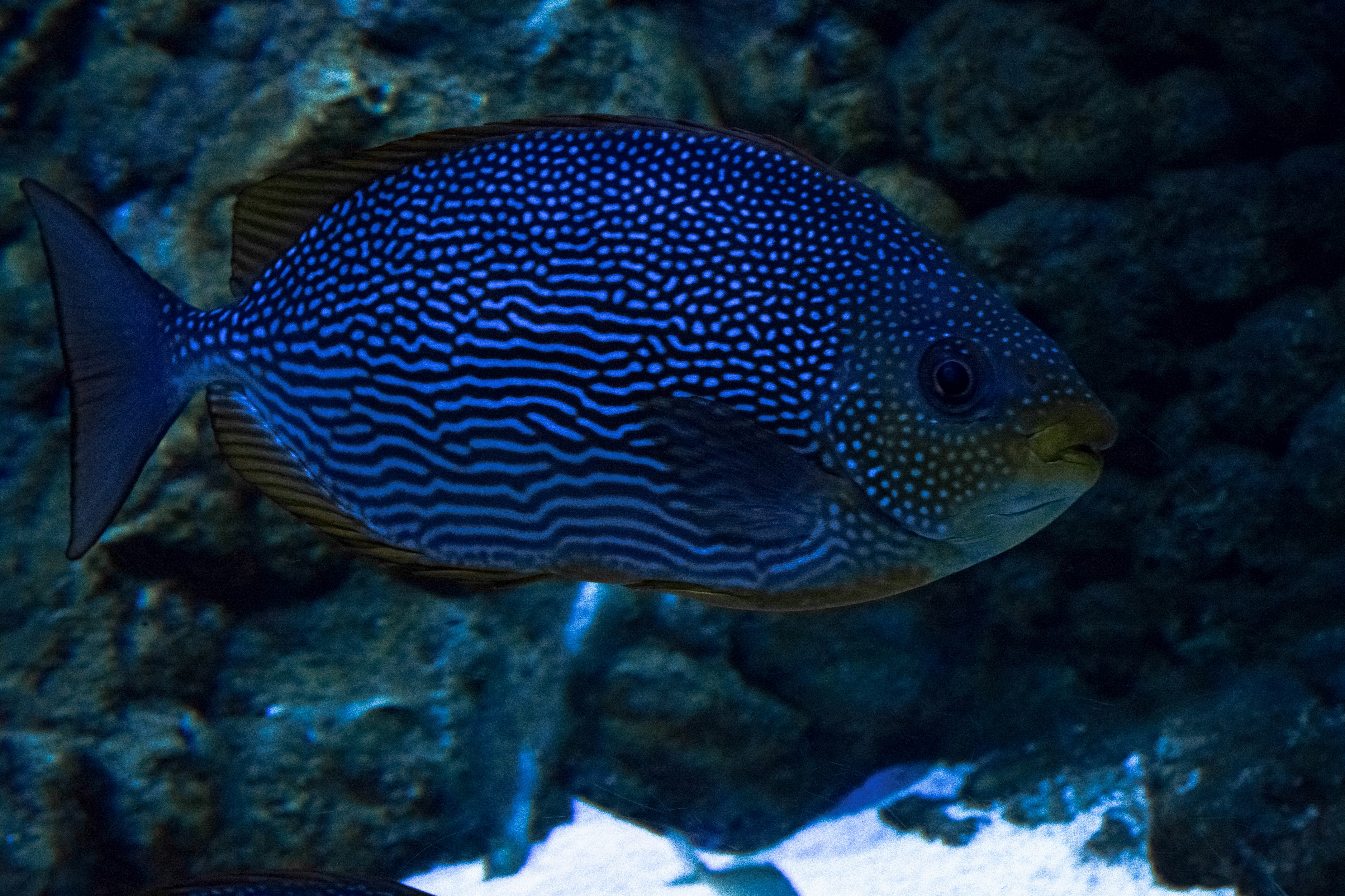 Photo by luanfonsecavisuals