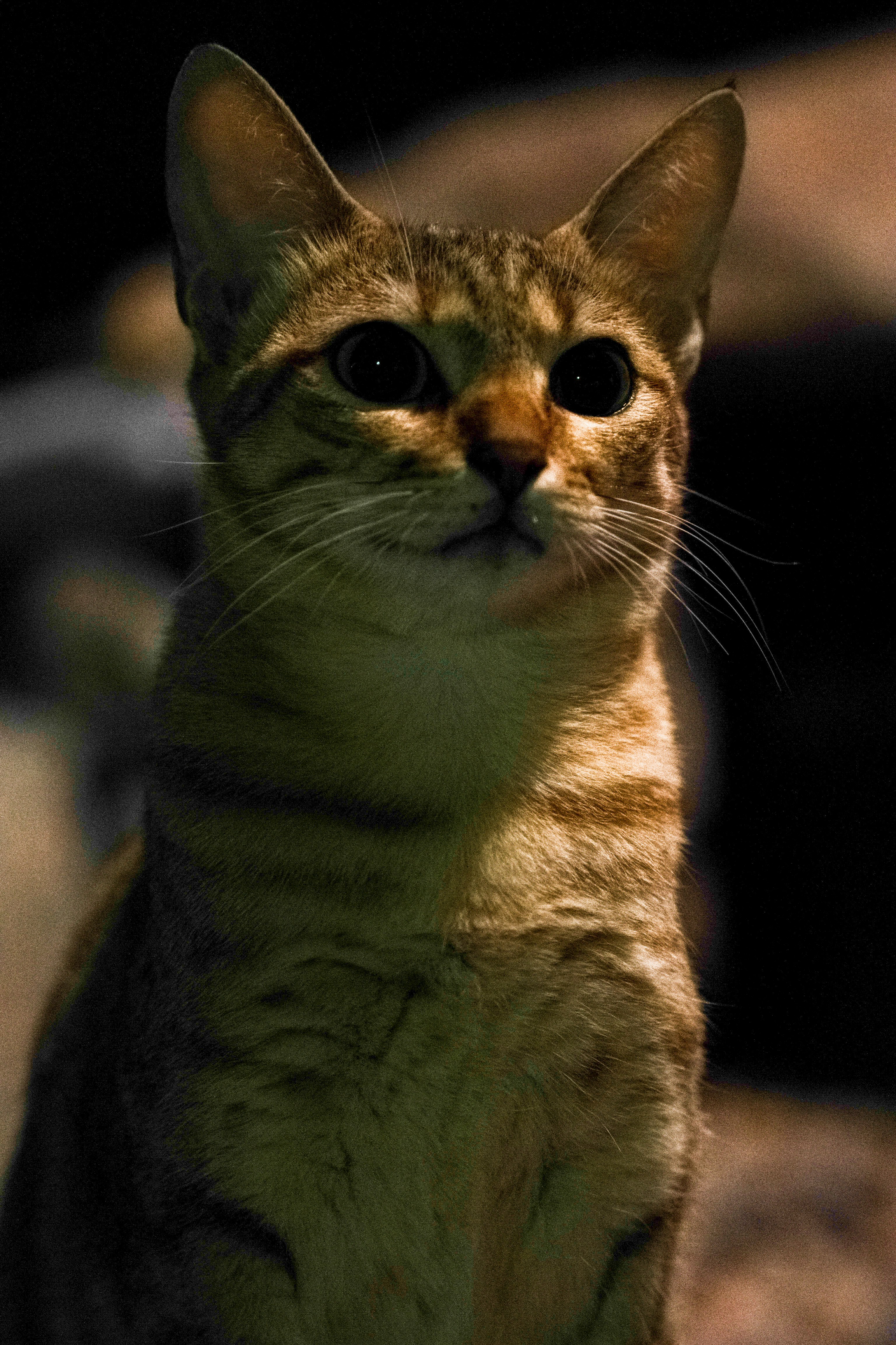 Photo by luanfonsecavisuals