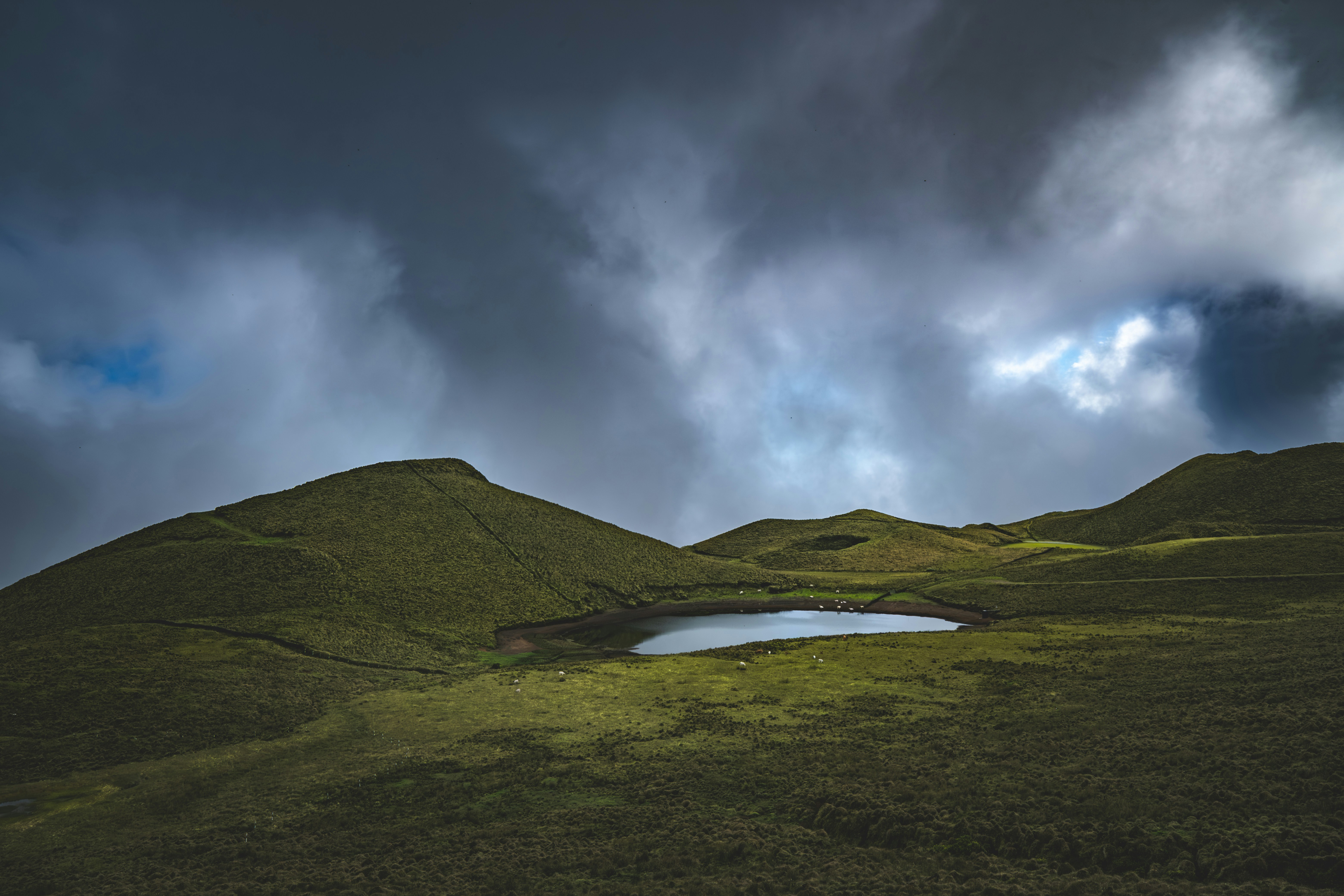 Photo by francesco_ungaro