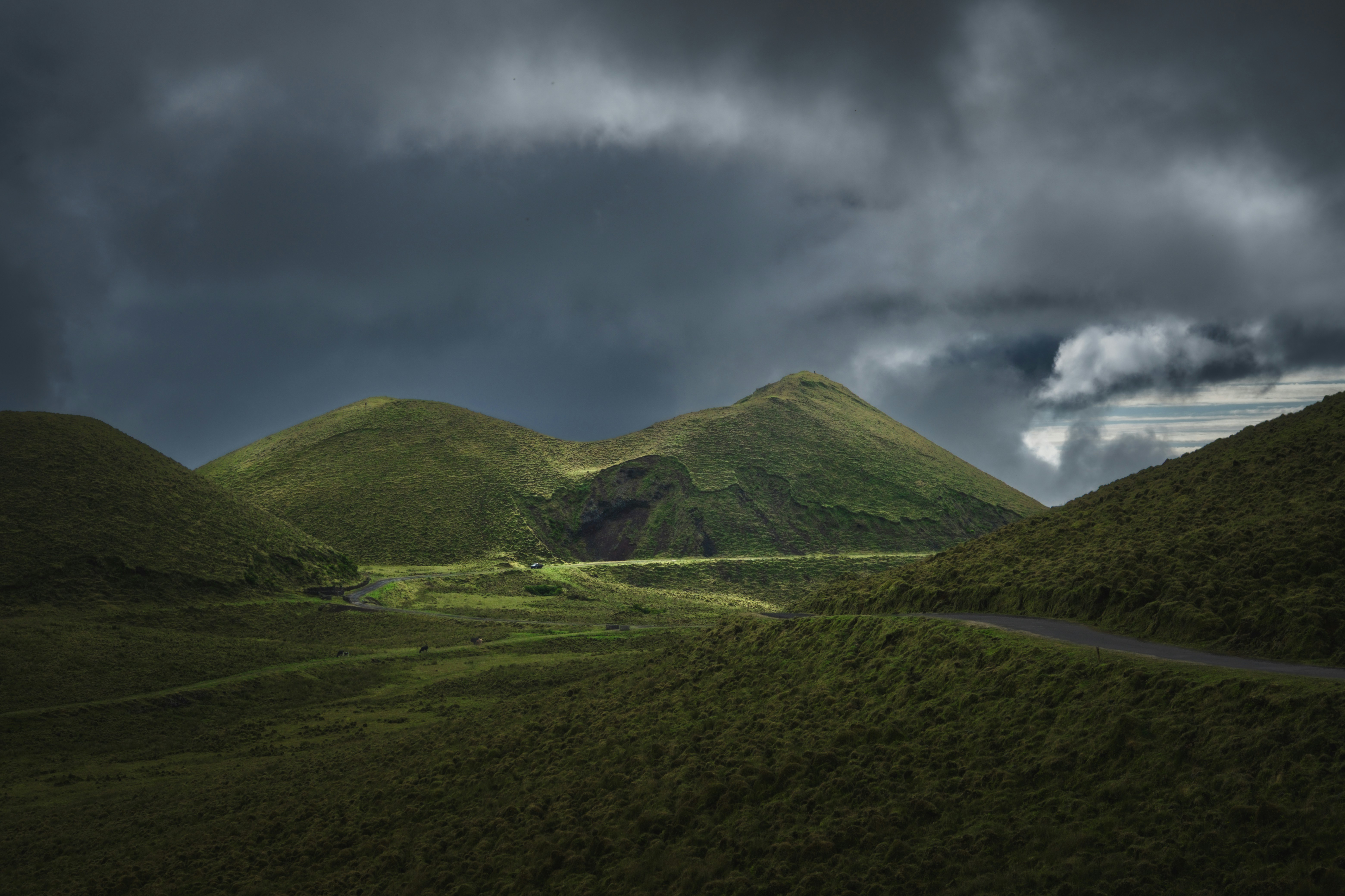 Photo by francesco_ungaro