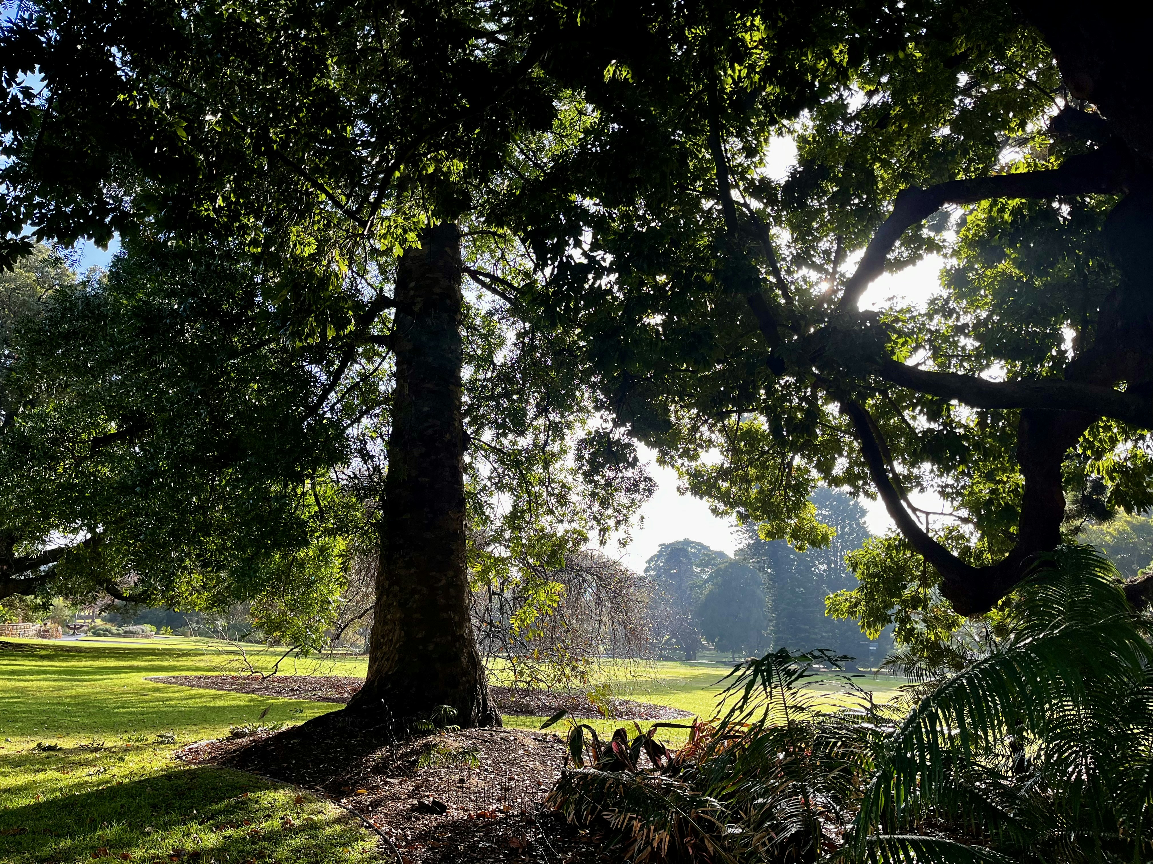 Photo by pierrehenry