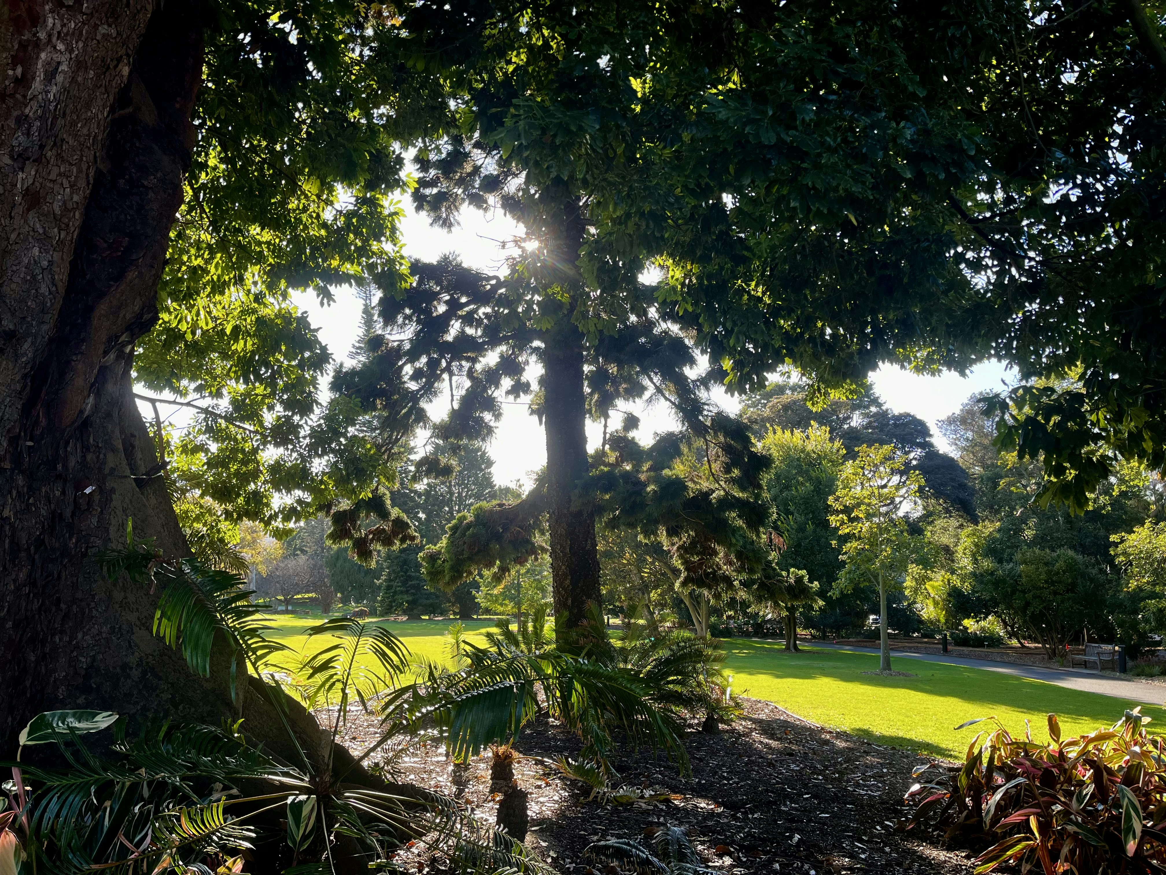 Photo by pierrehenry