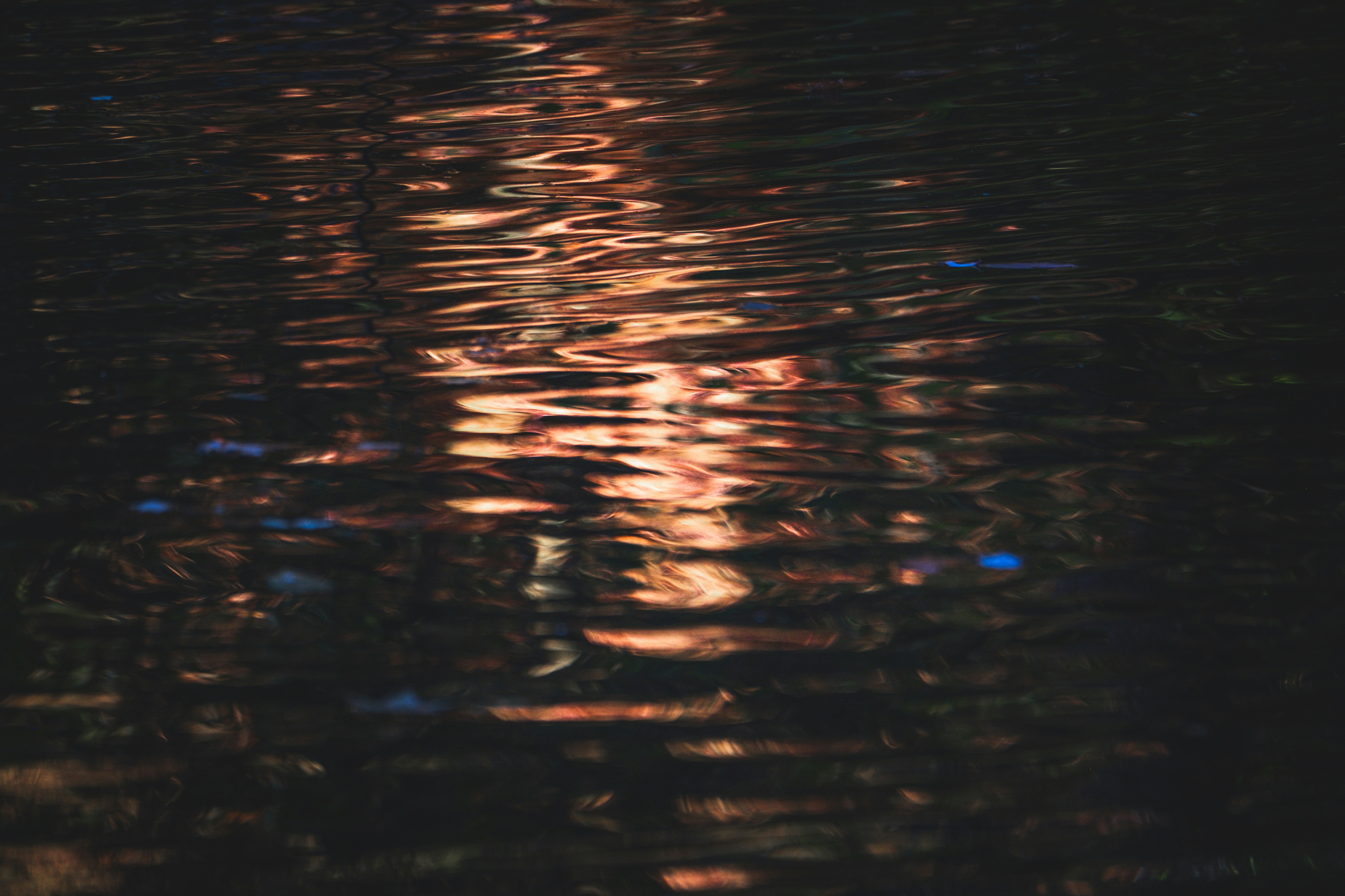 Photo by francesco_ungaro