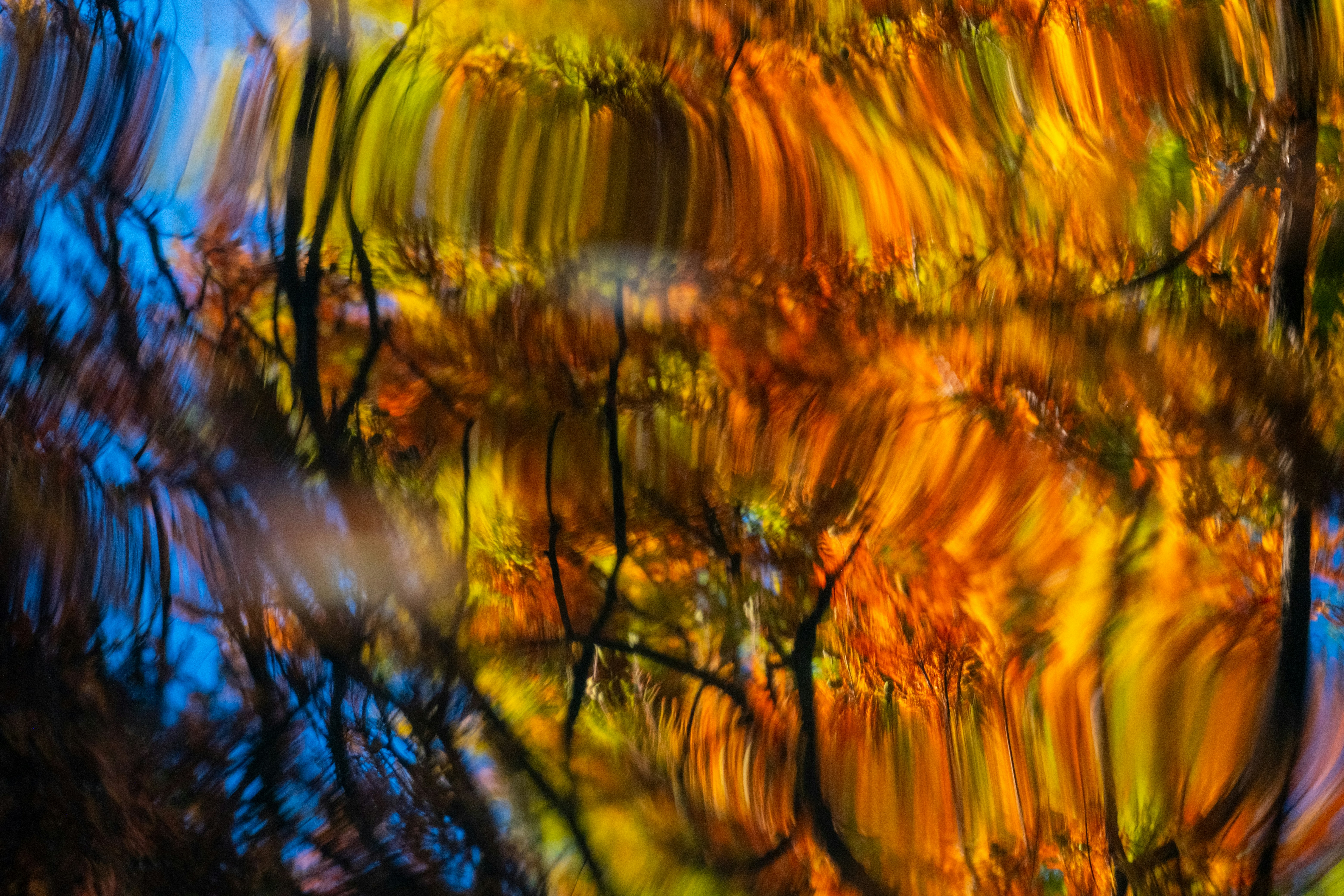 Photo by francesco_ungaro