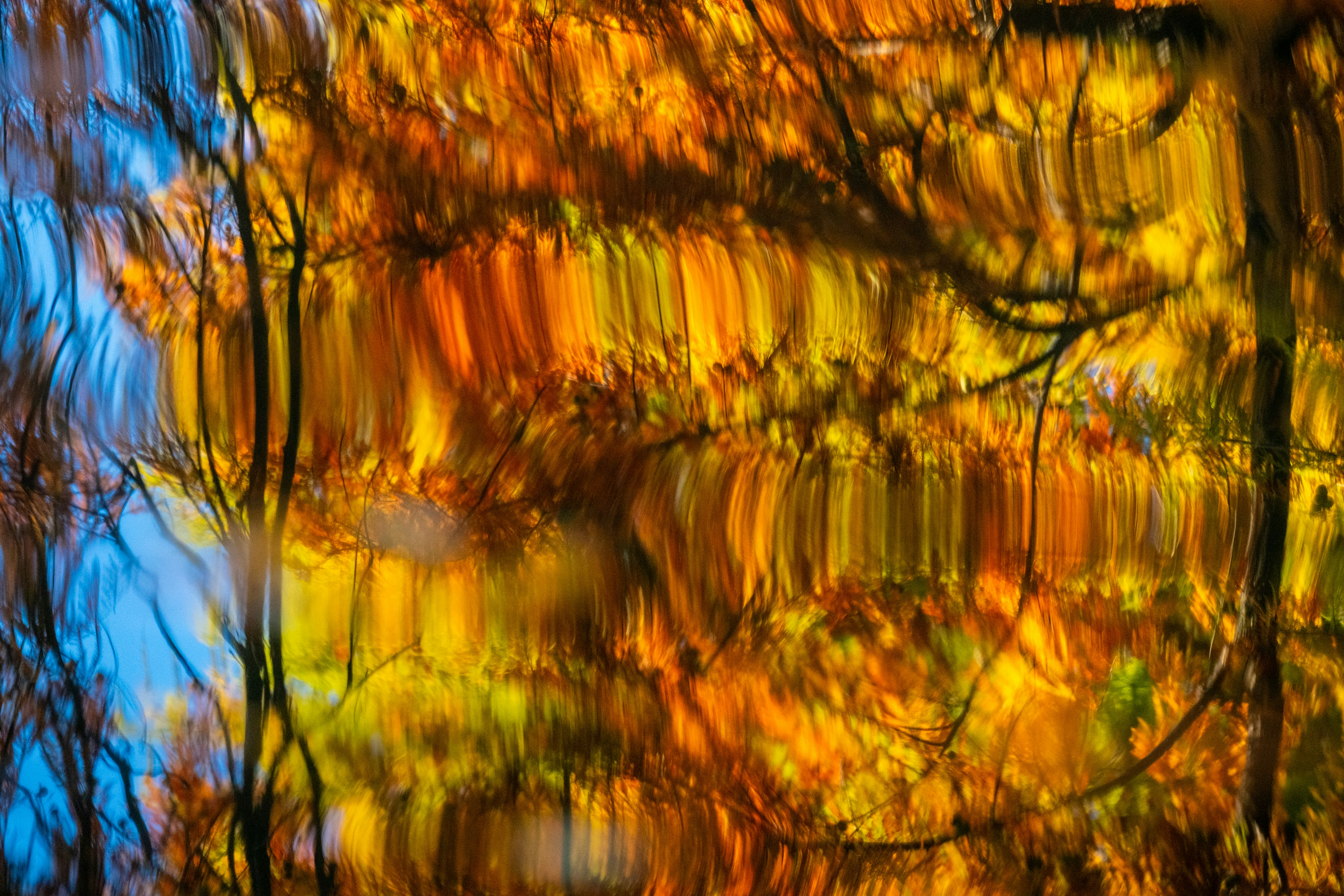 Photo by francesco_ungaro