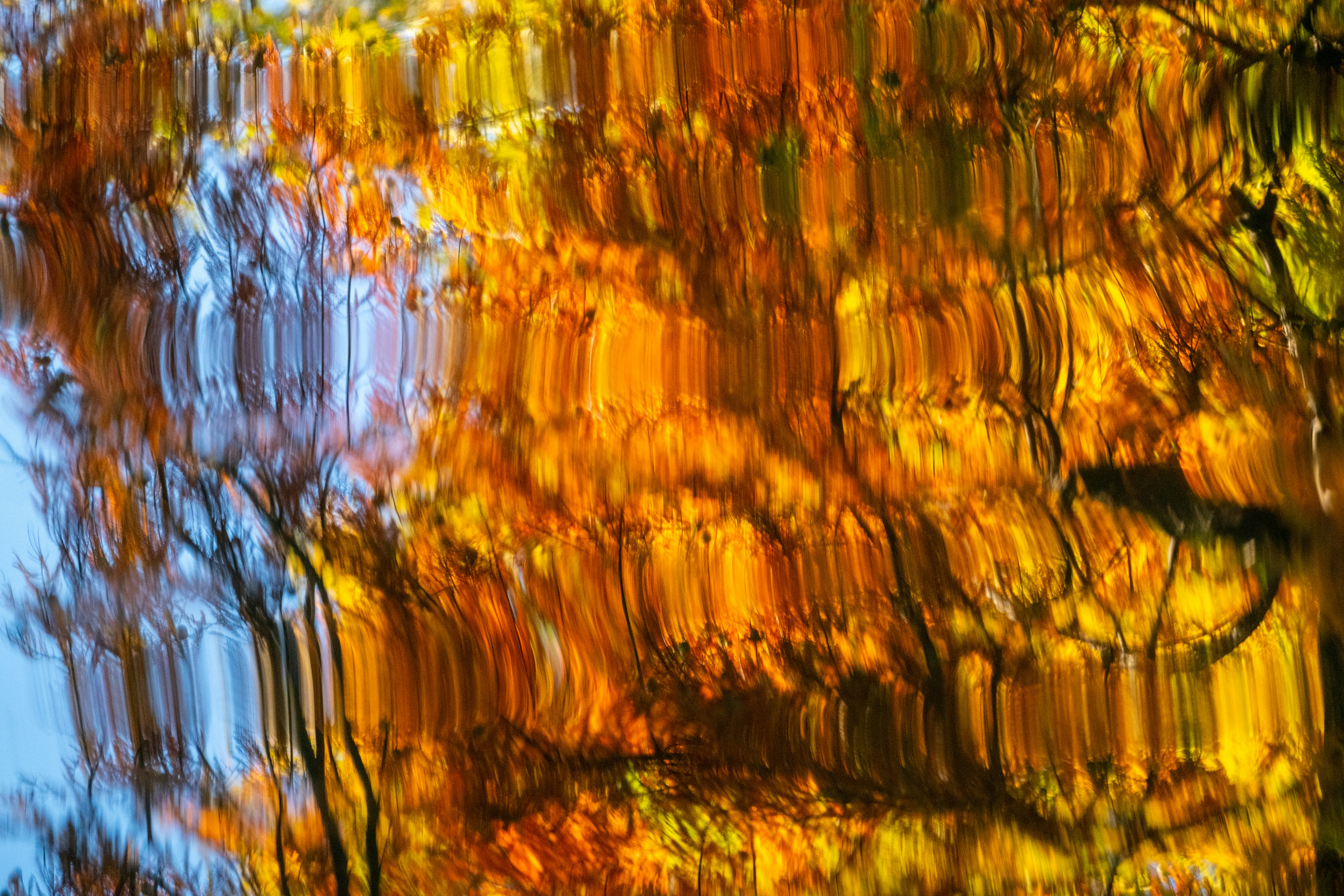 Photo by francesco_ungaro