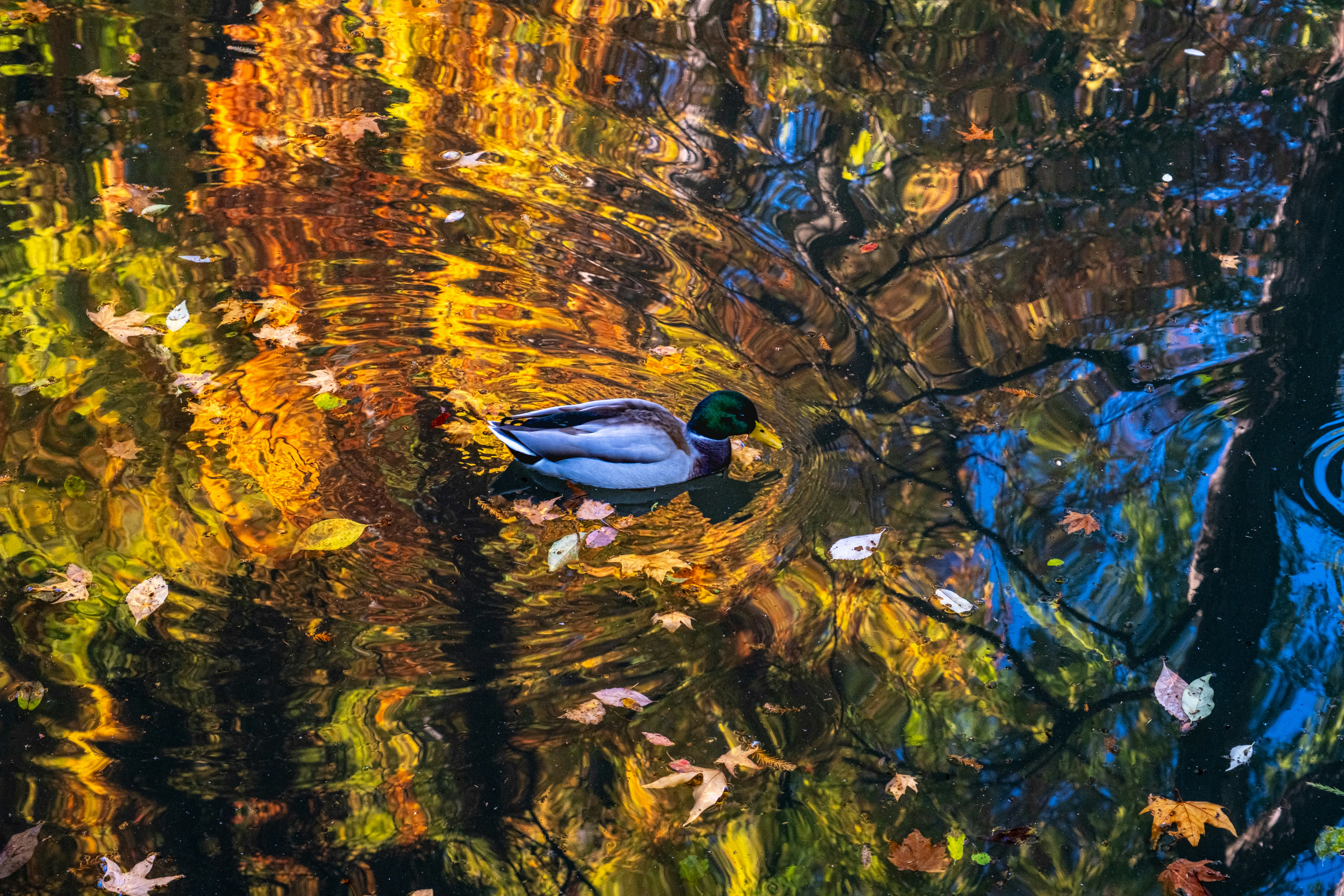 Photo by francesco_ungaro