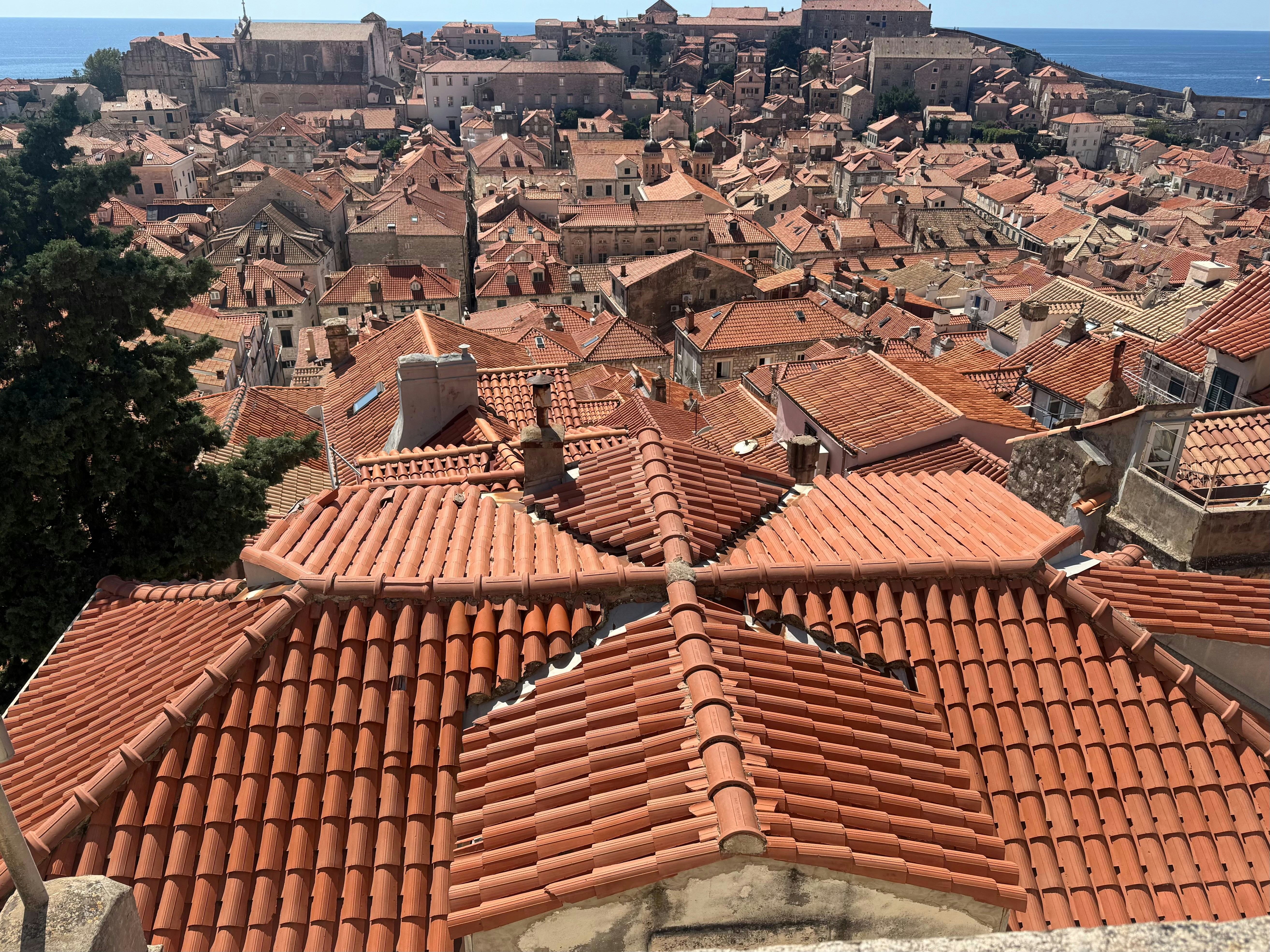 Photo by j_pitches_68