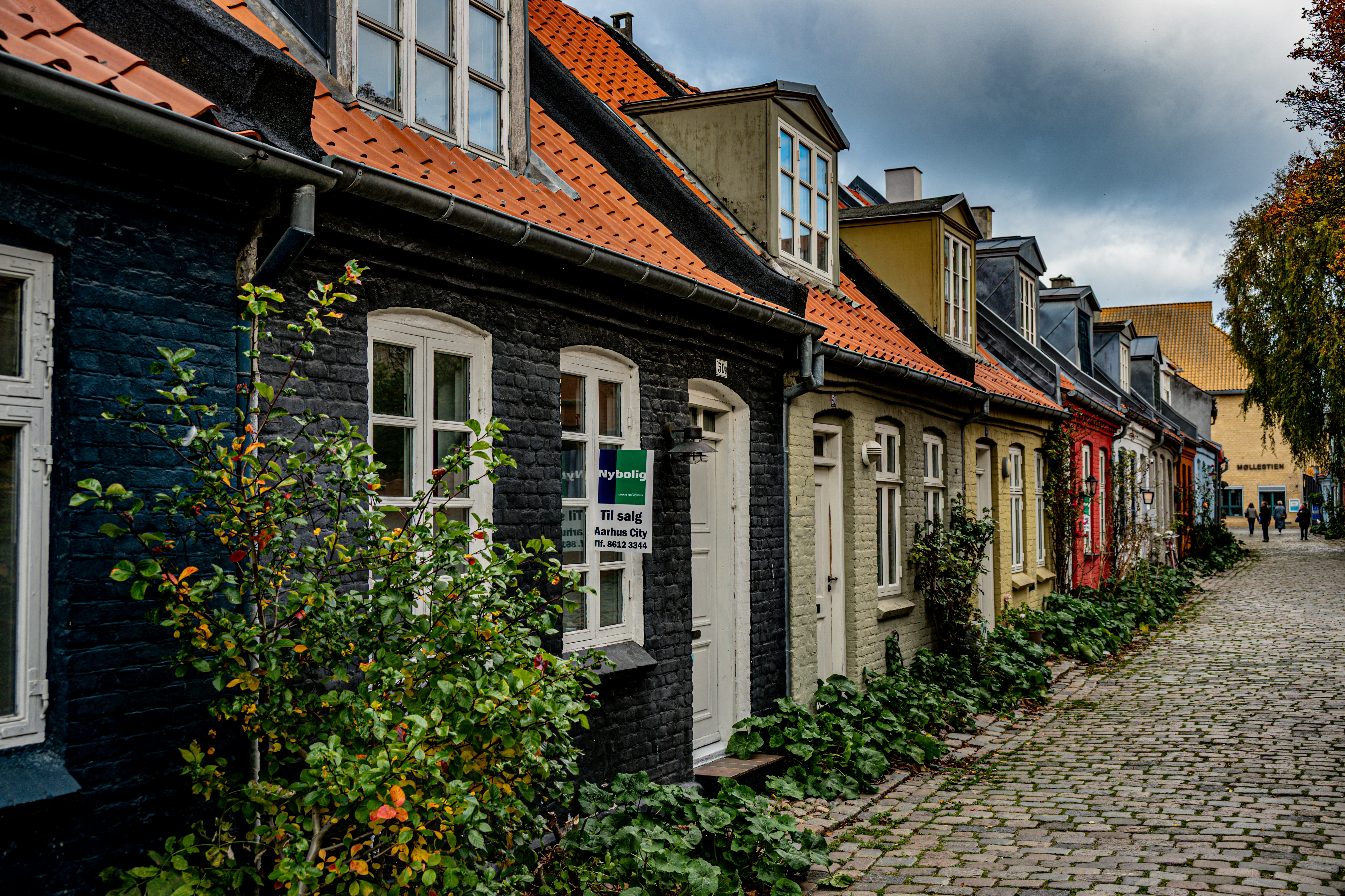 Row of colorful houses on a cobblestone street.