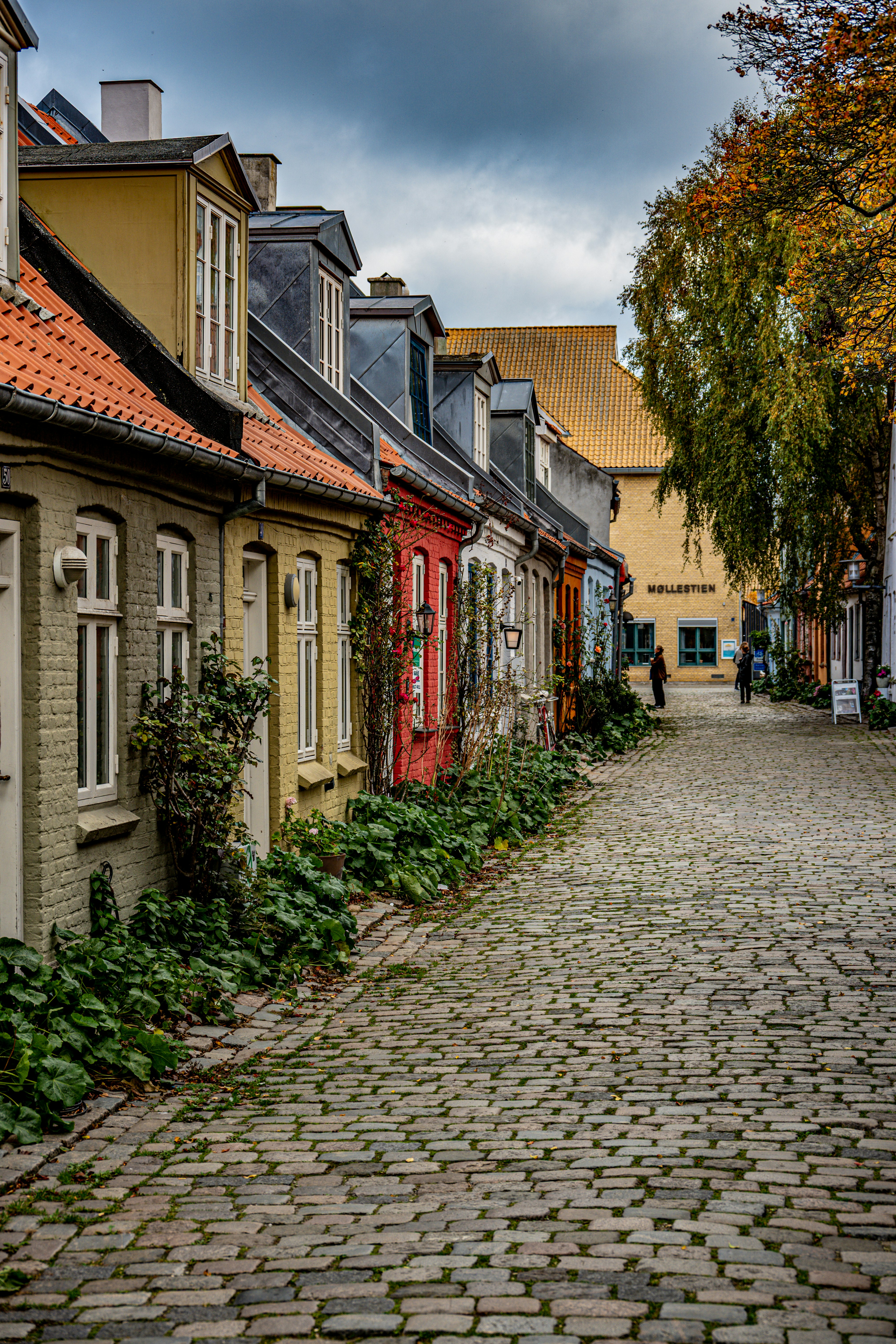 Photo by justmejuliee