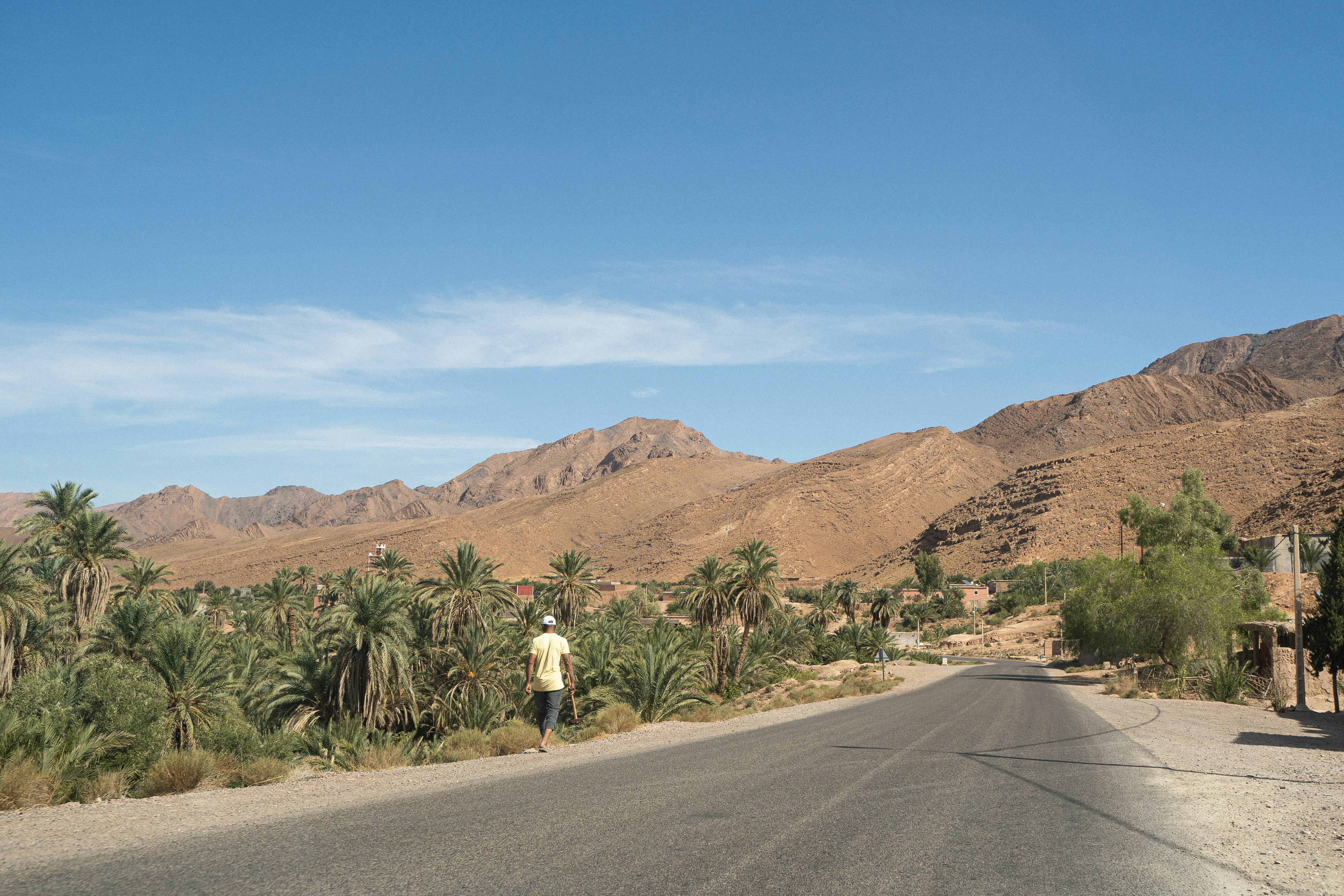 Man walks on road near palm trees and mountains.