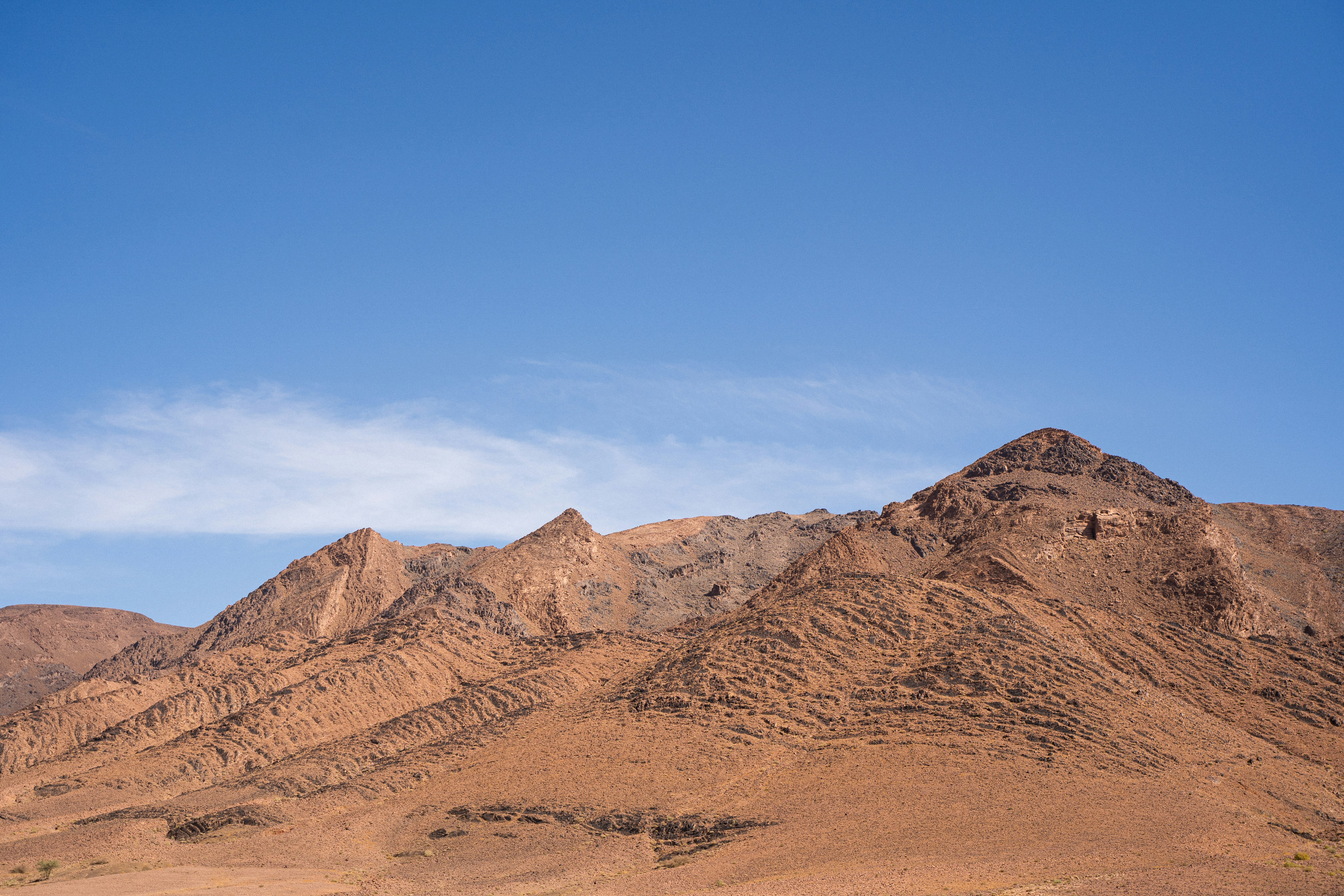 Photo by franceeesca_f