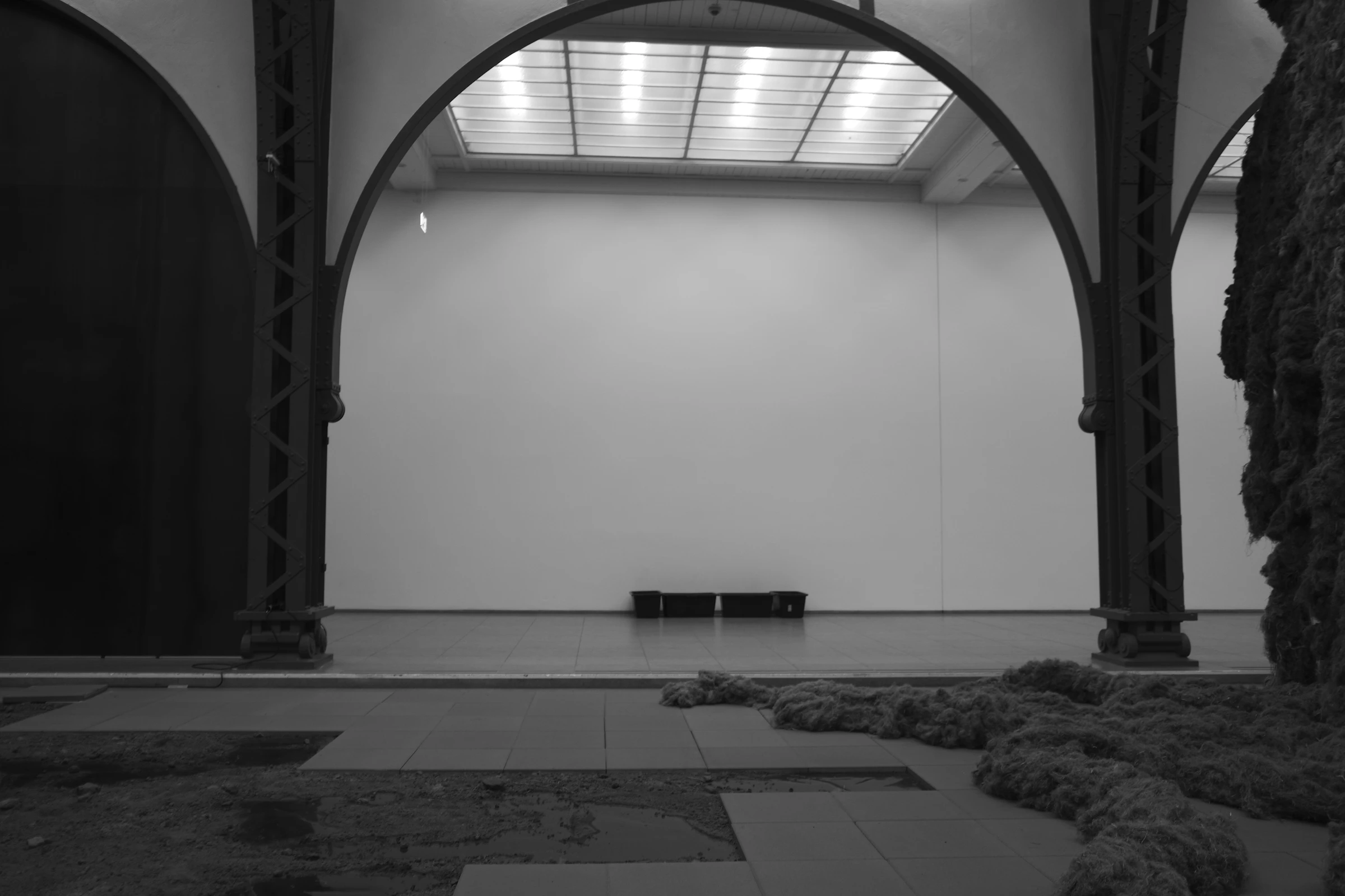 Stella Jones Gallery