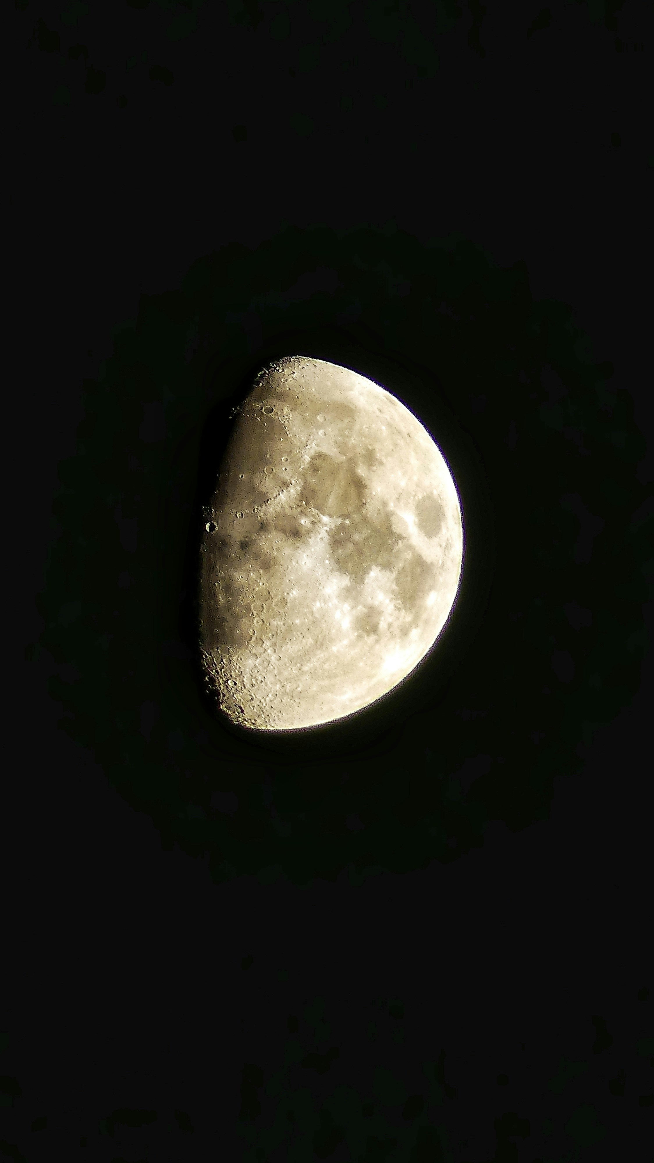 A half moon illuminated against a dark sky