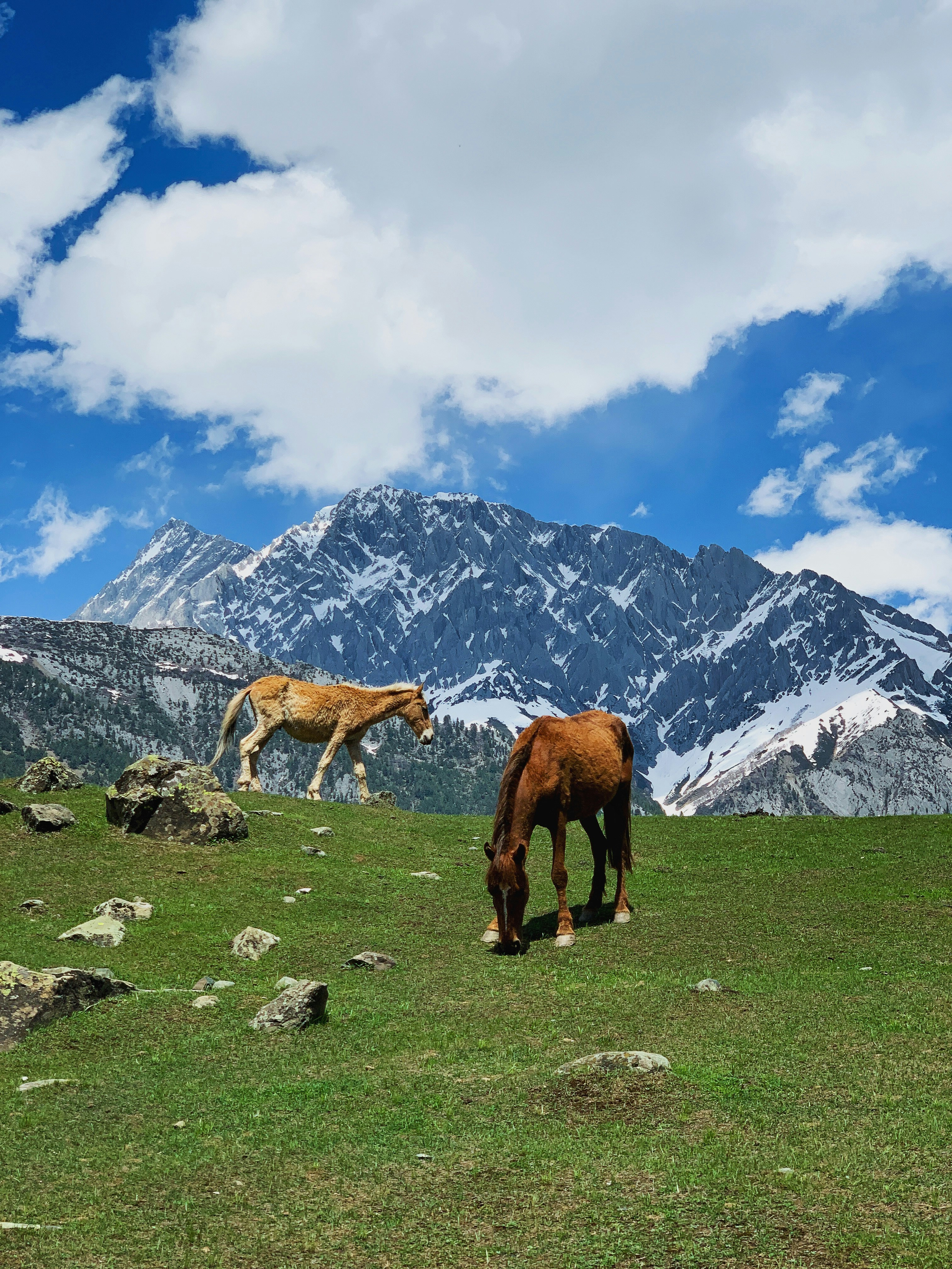 Photo by mohammedkhalil67