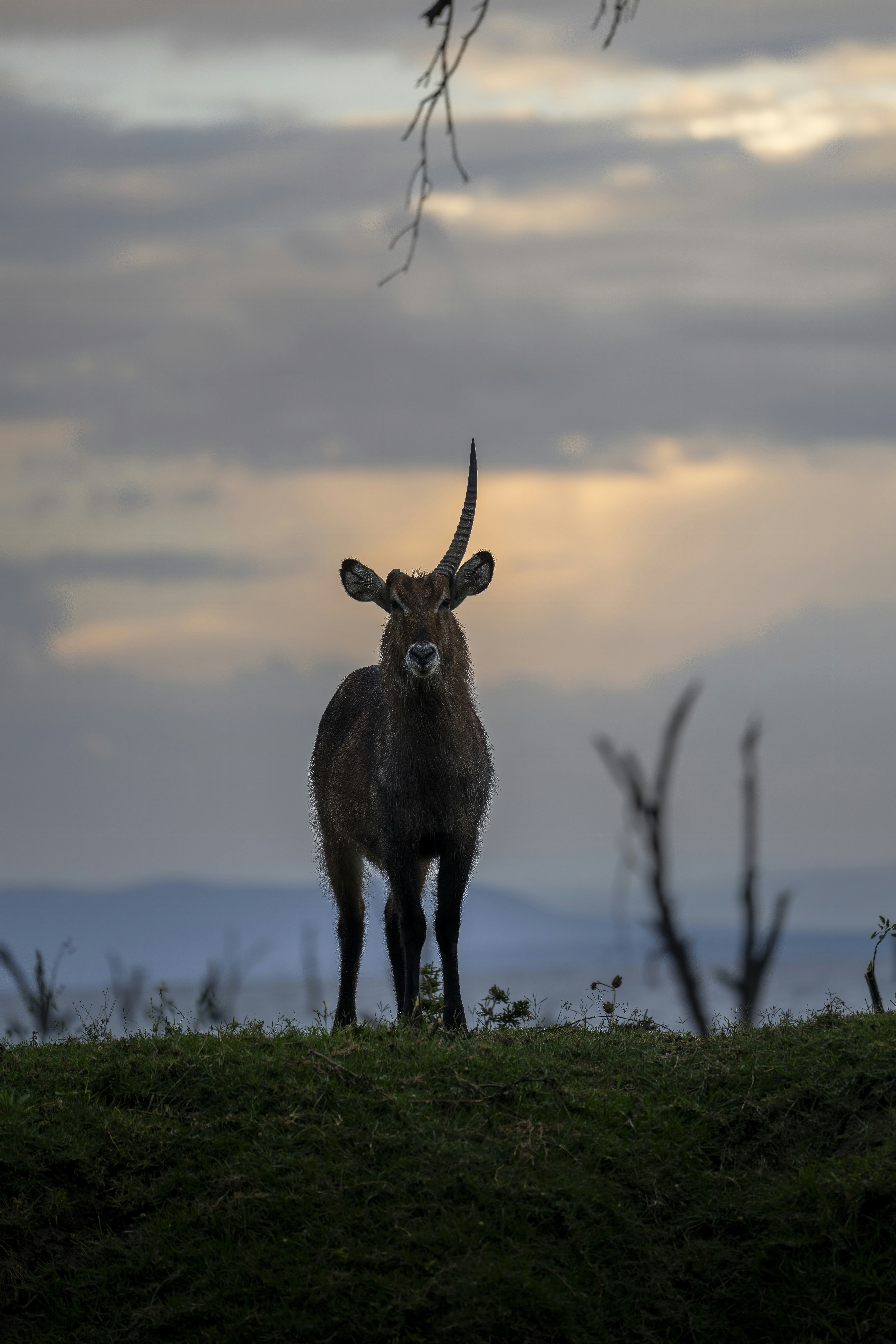 Photo by sajad_baharvandi