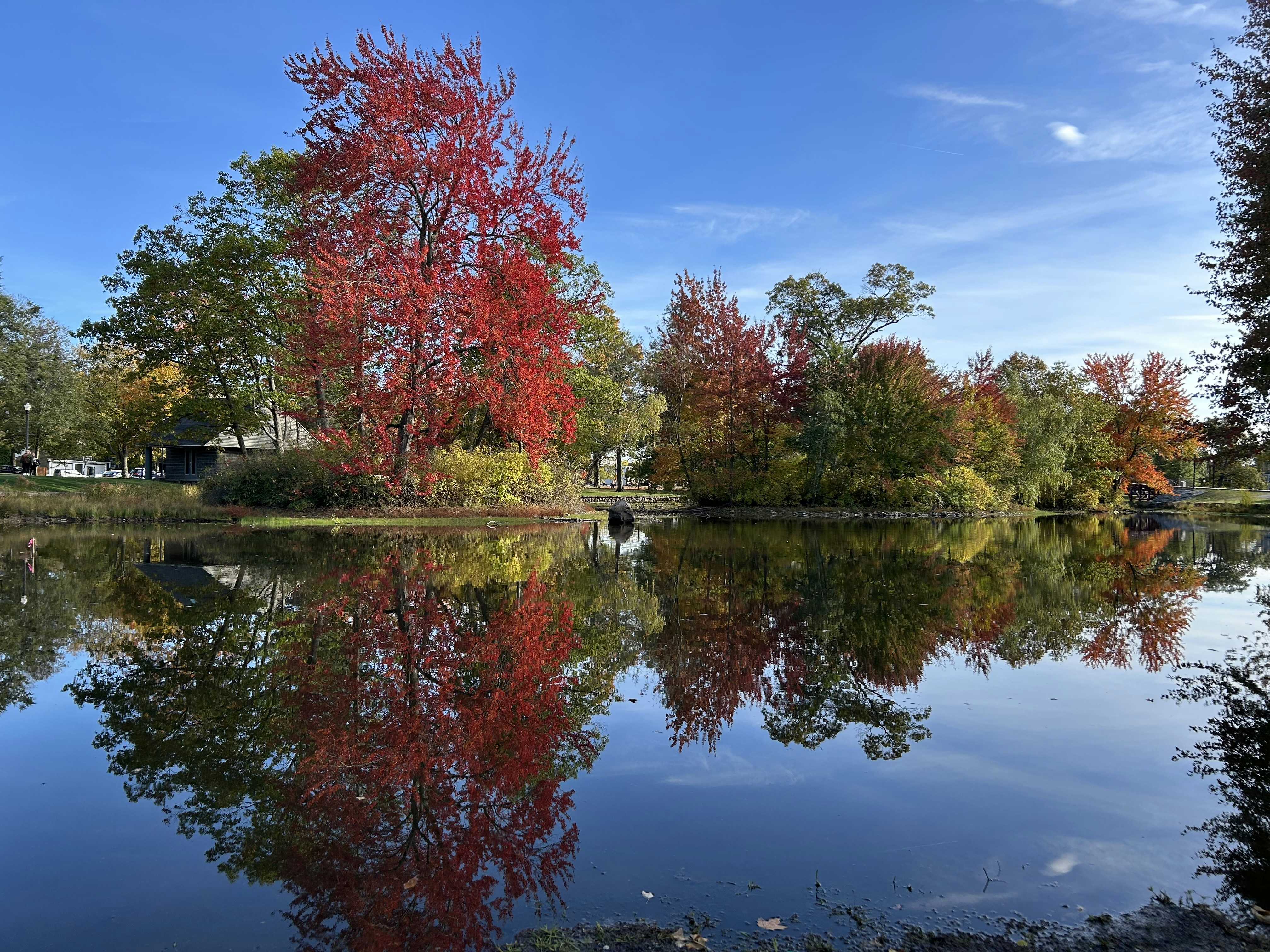 Photo by cocodancebean