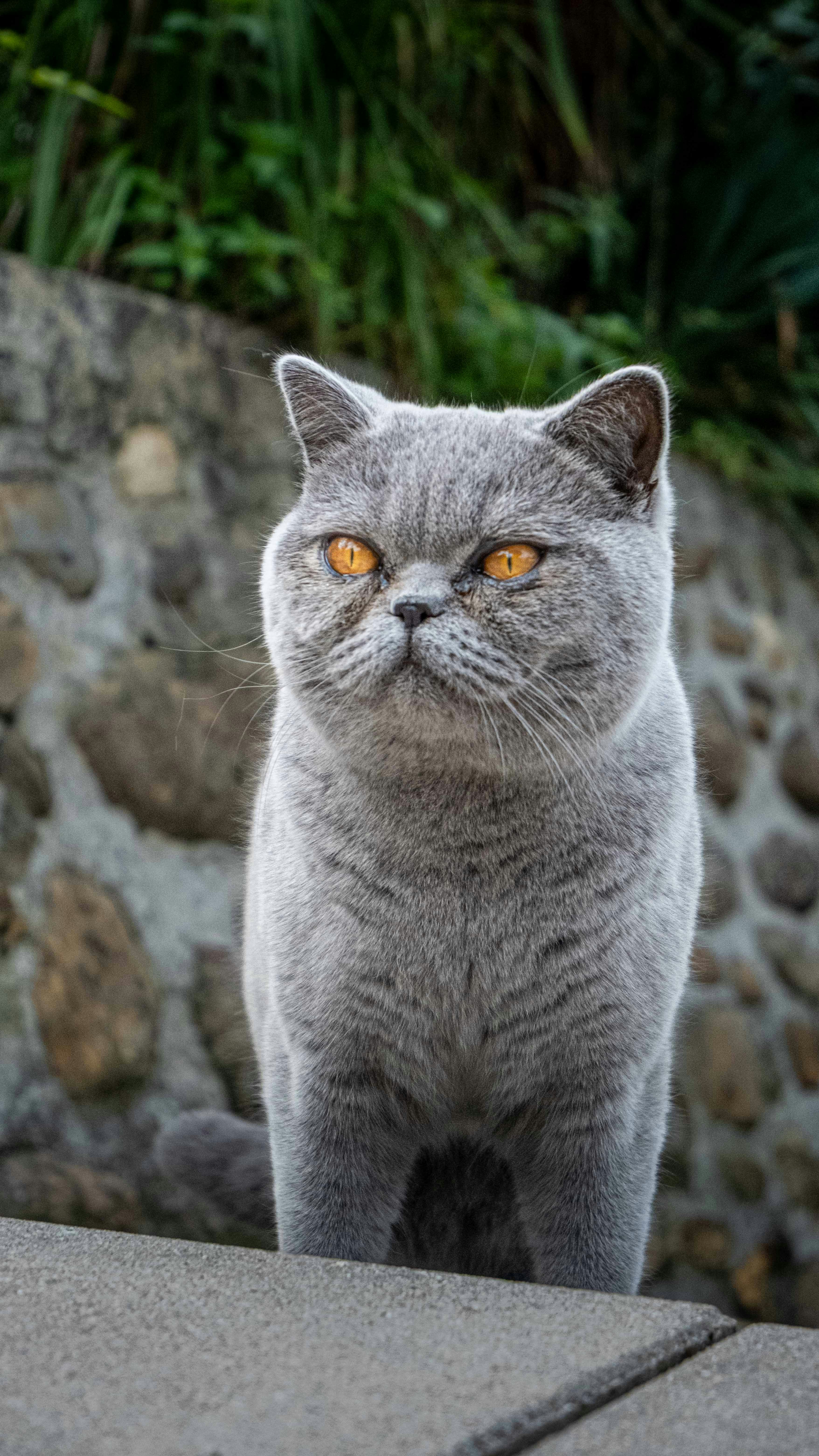 Photo by propaganda_graphics