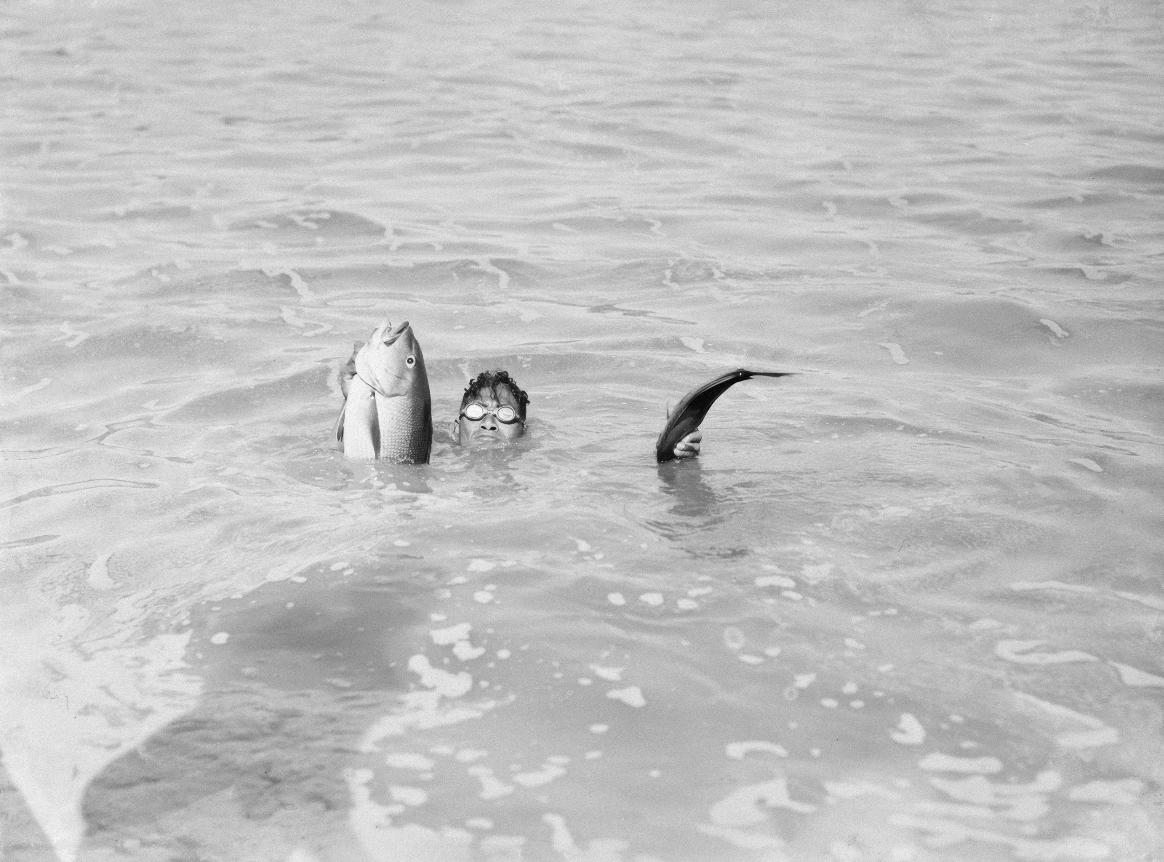 Photo by aucklandmuseum