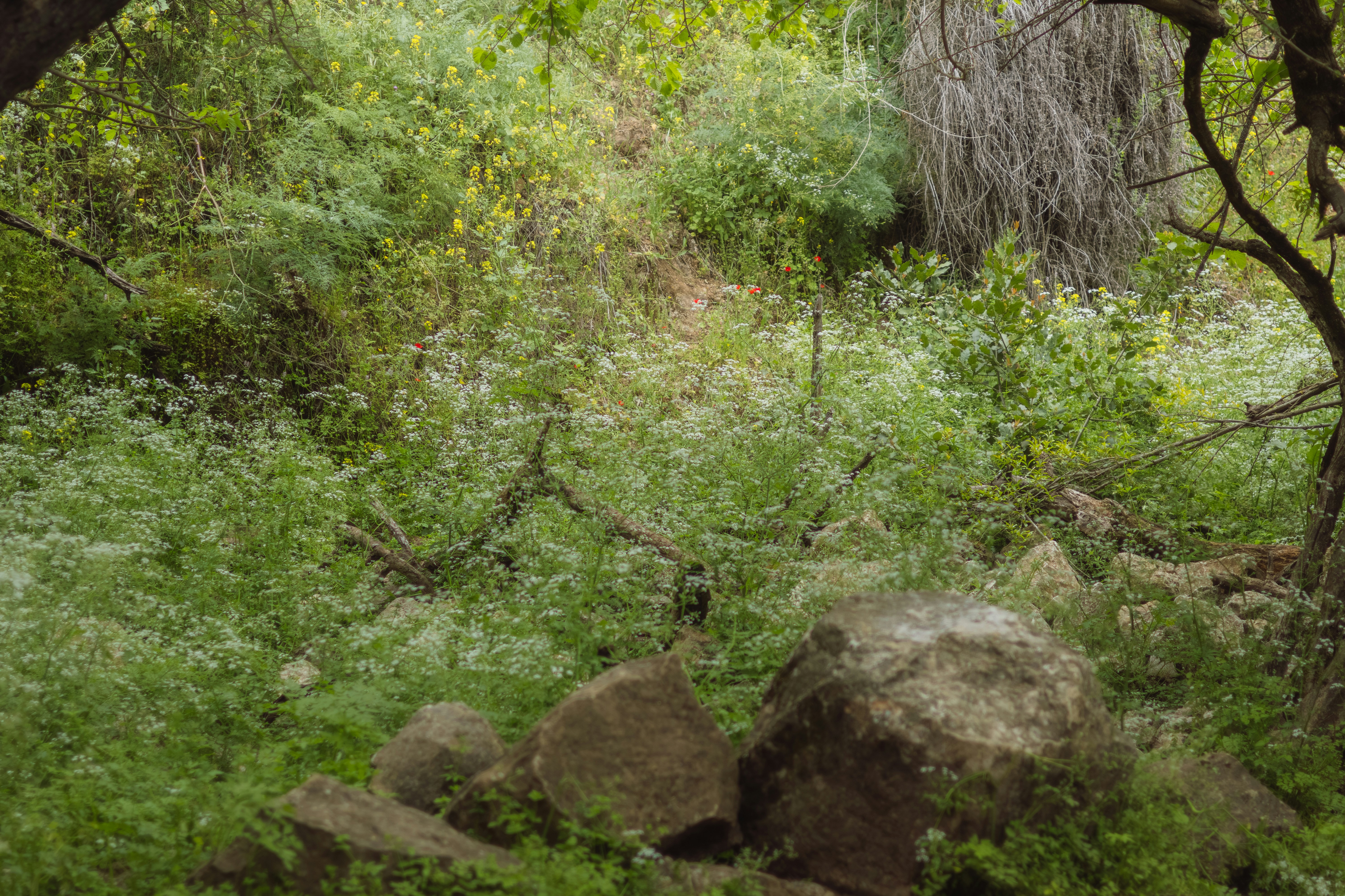 Photo by tephography