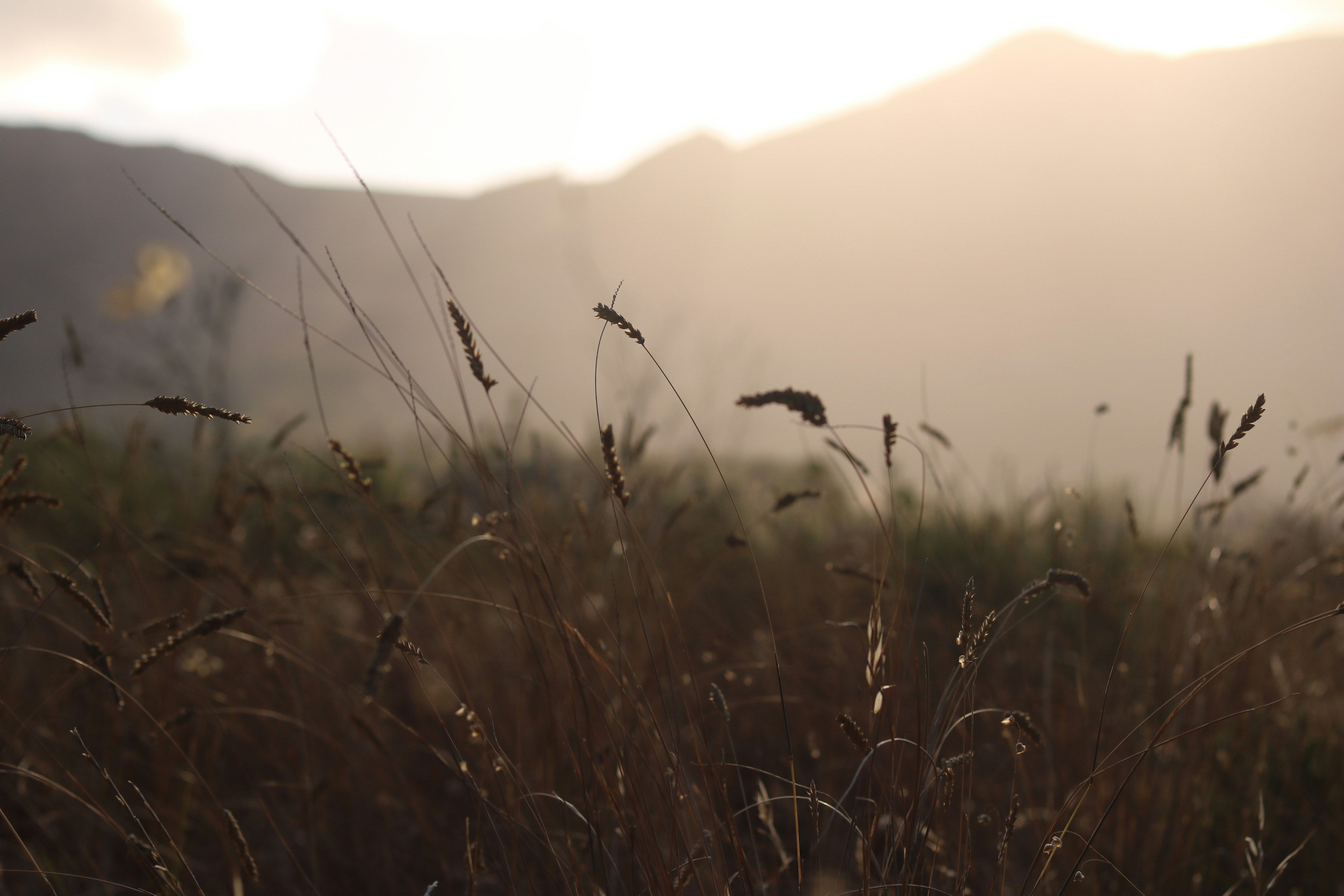 Photo by allysphotos