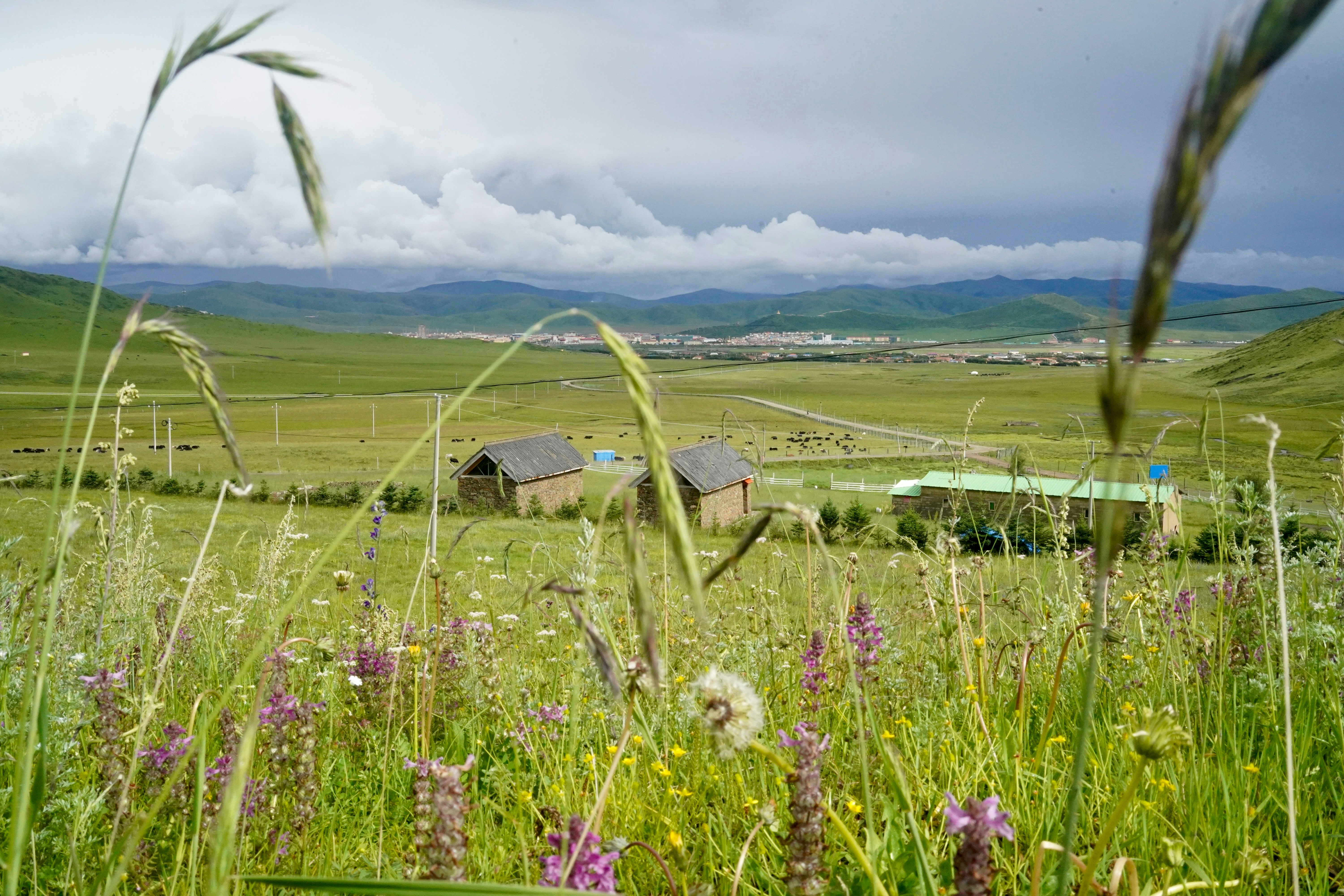 Rural village nestled in a green valley under cloudy sky.