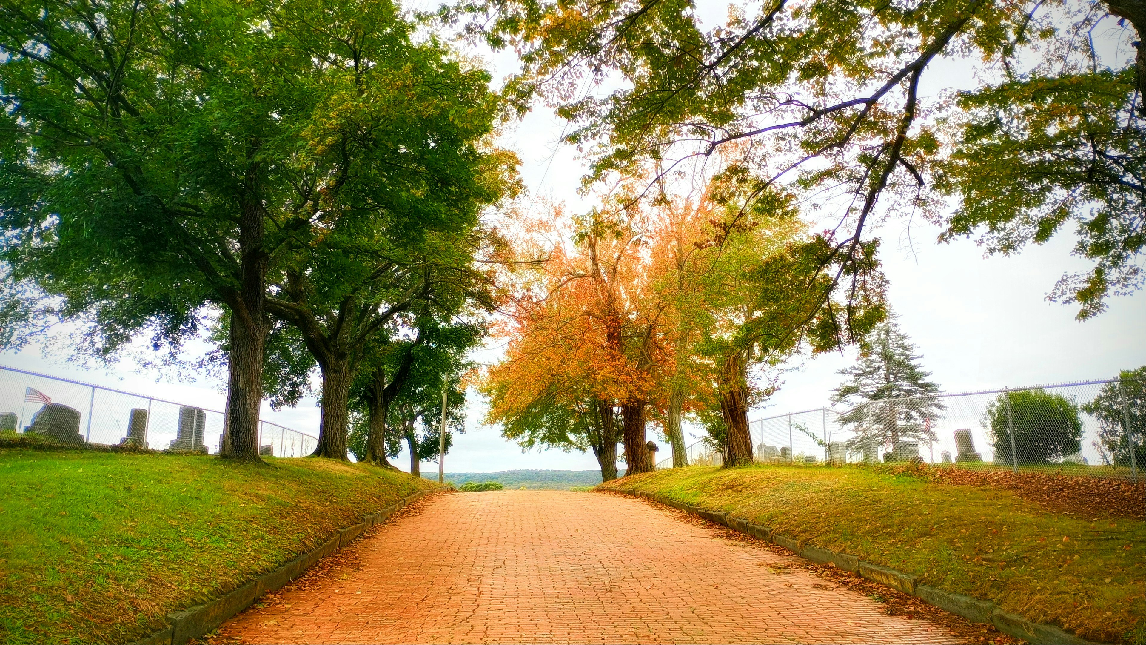 Photo by allisonstevenson