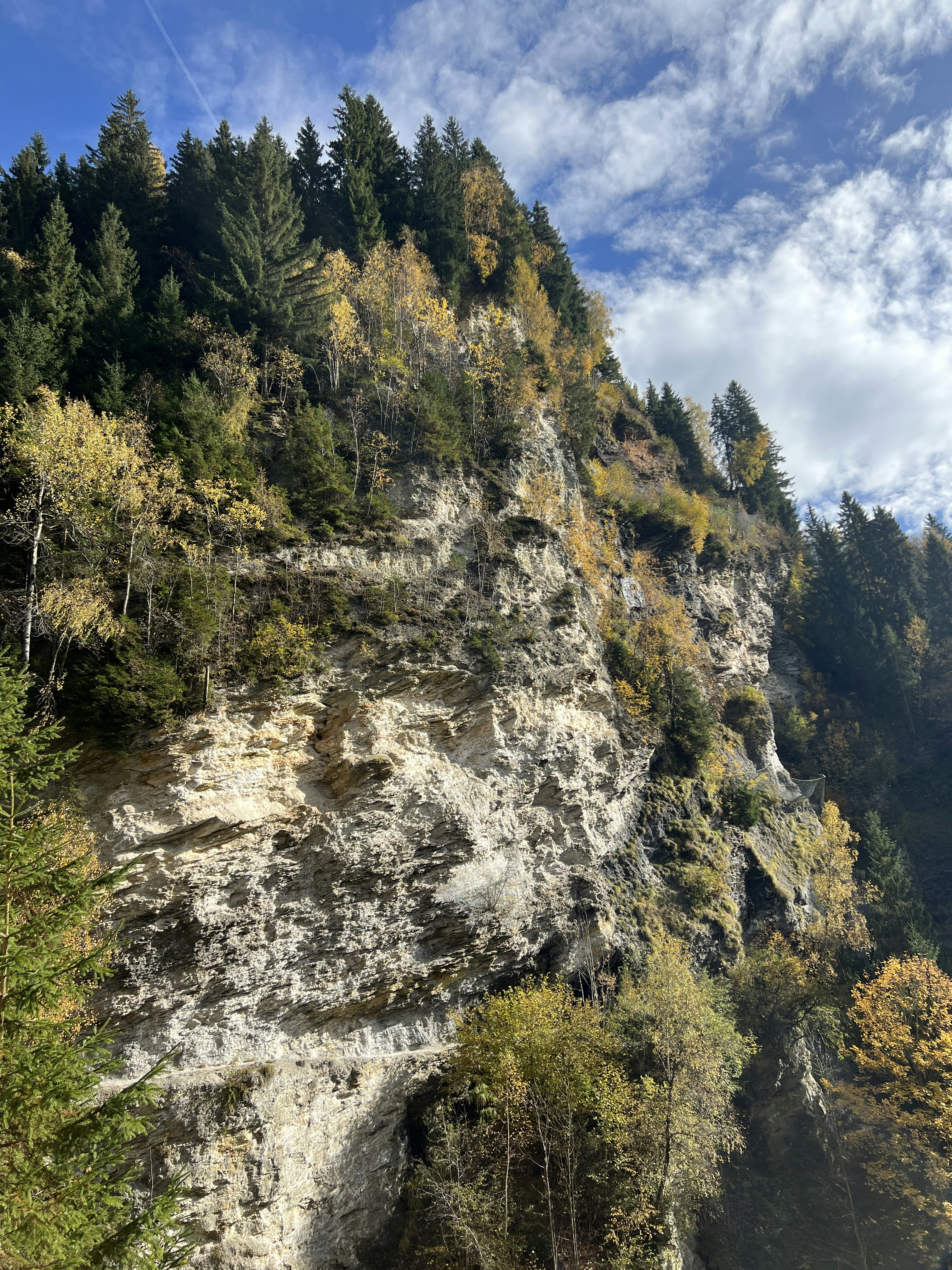 Herbstliche Bäume an einer felsigen Bergklippe.