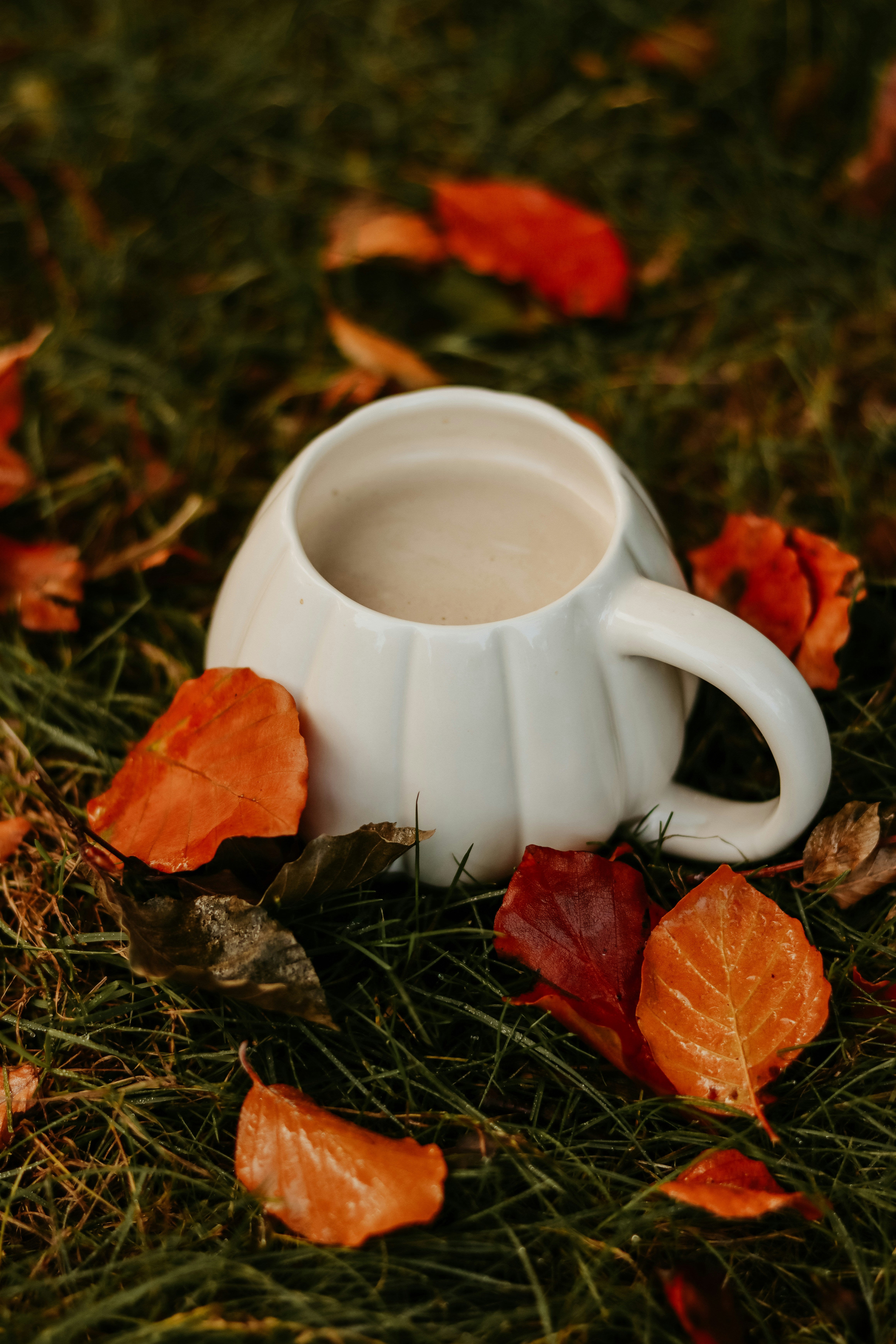 Tasse blanche remplie de café sur de l’herbe avec des feuilles mortes