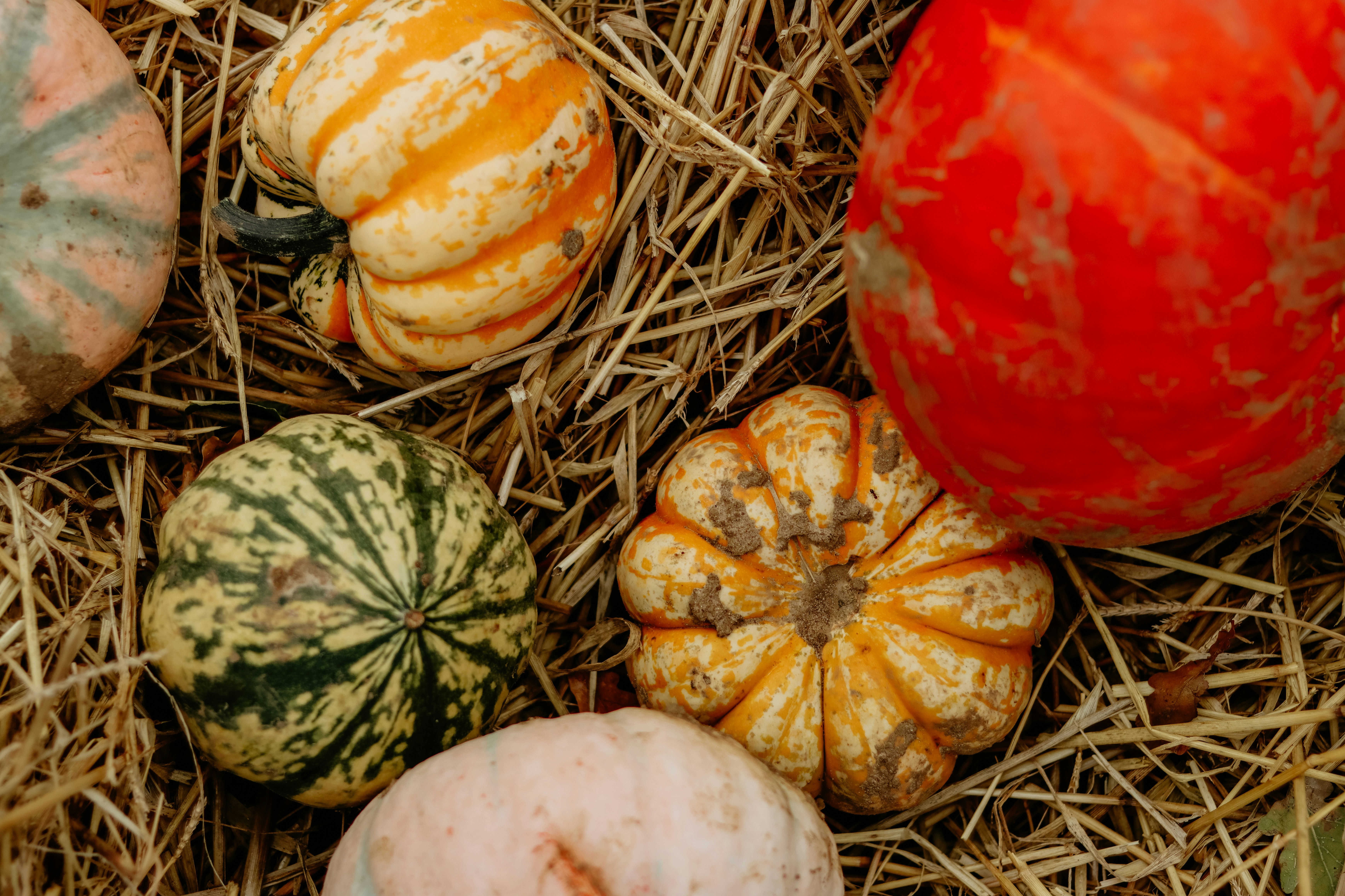 Photo by honeypoppet