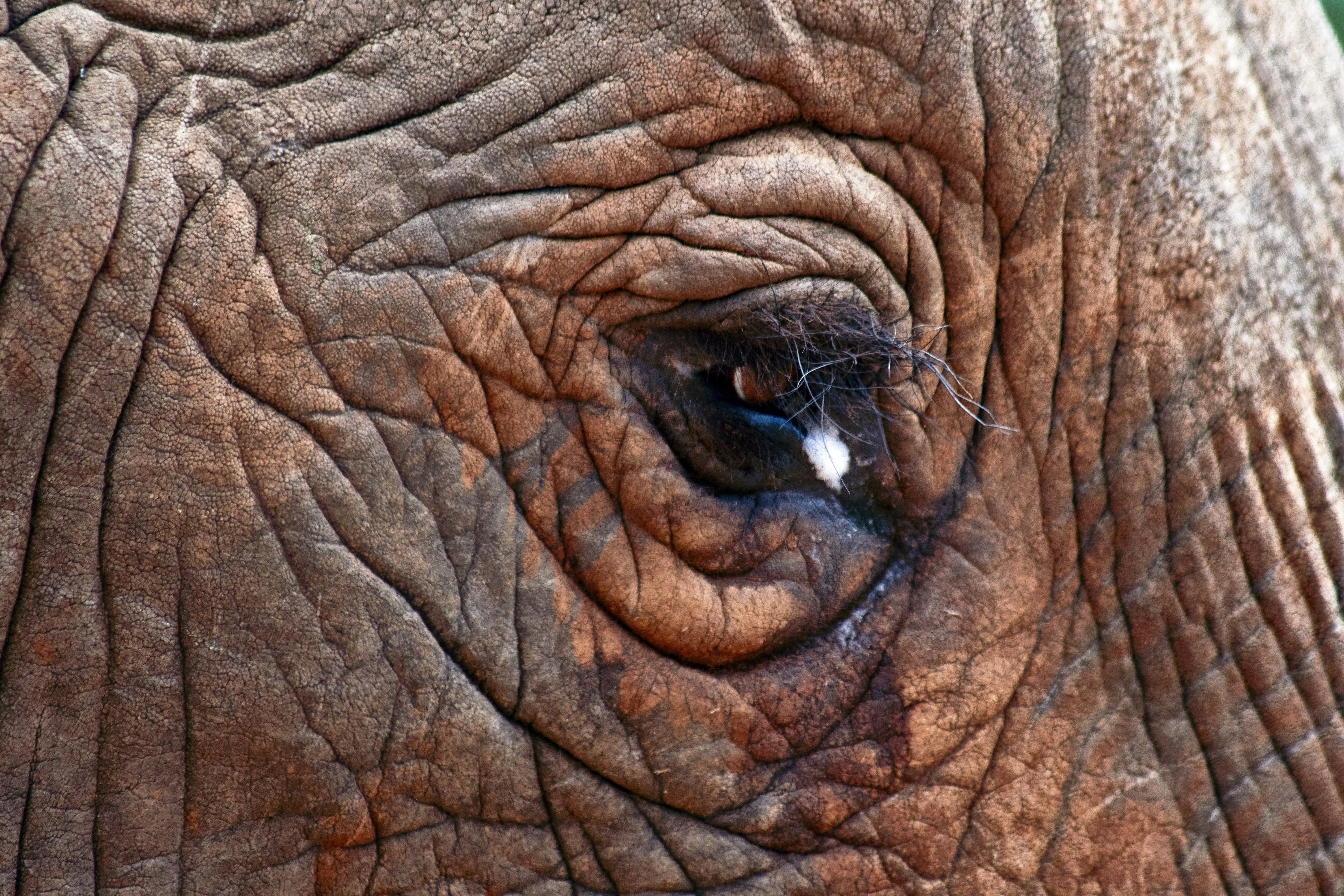 Photo by wolfgang_hasselmann