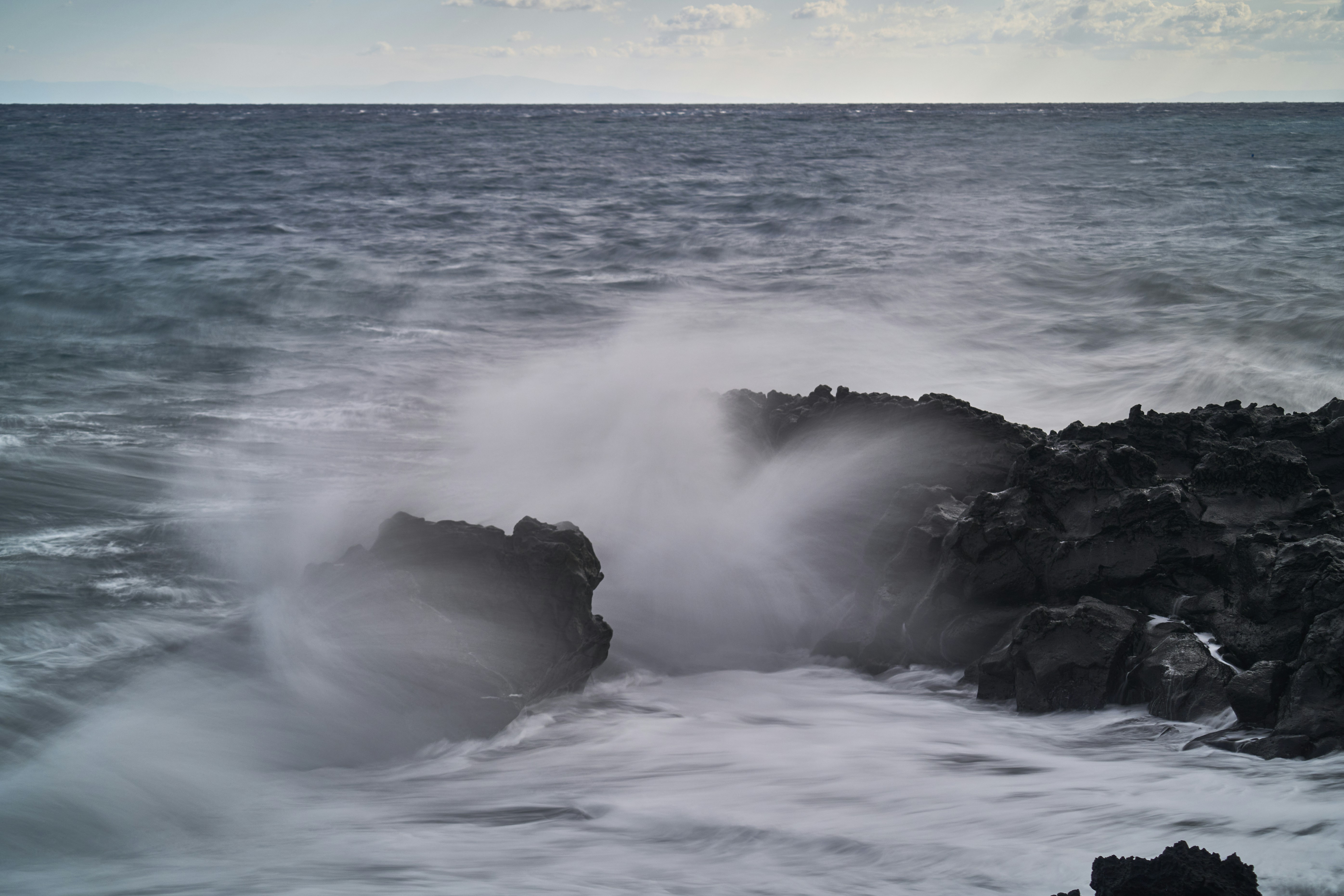 Photo by wolfgang_hasselmann