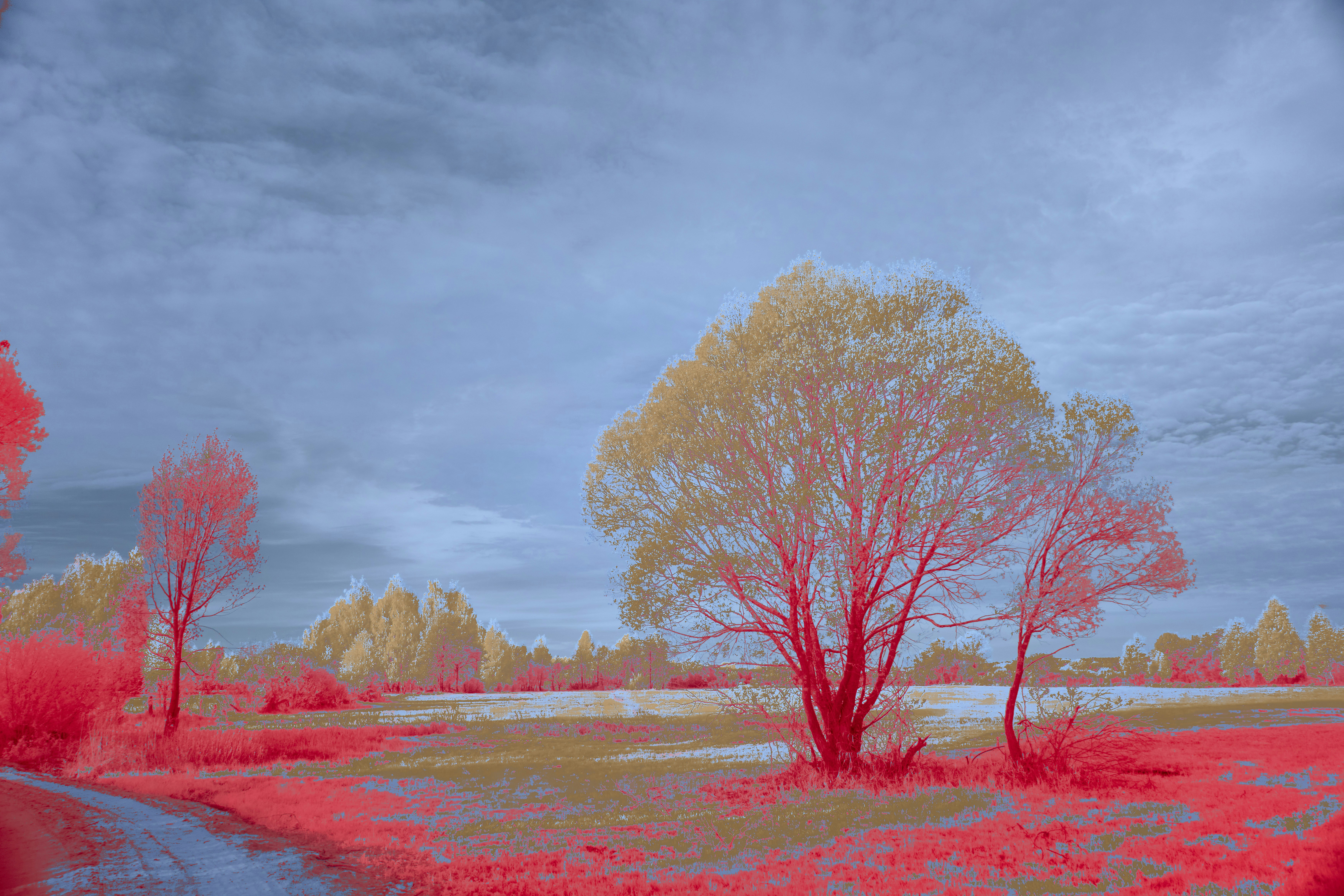 Photo by wolfgang_hasselmann