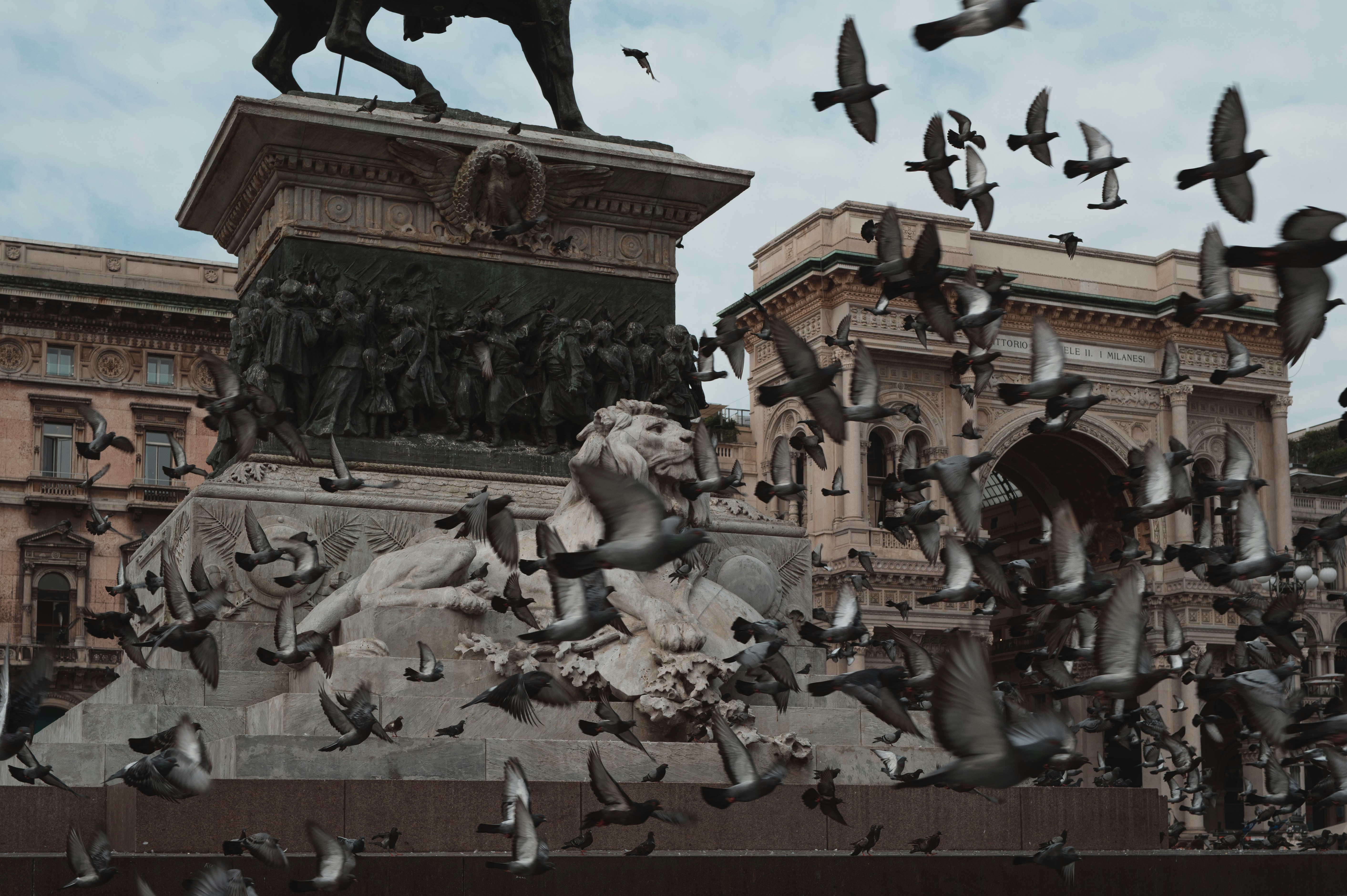 Flock of pigeons around a monument