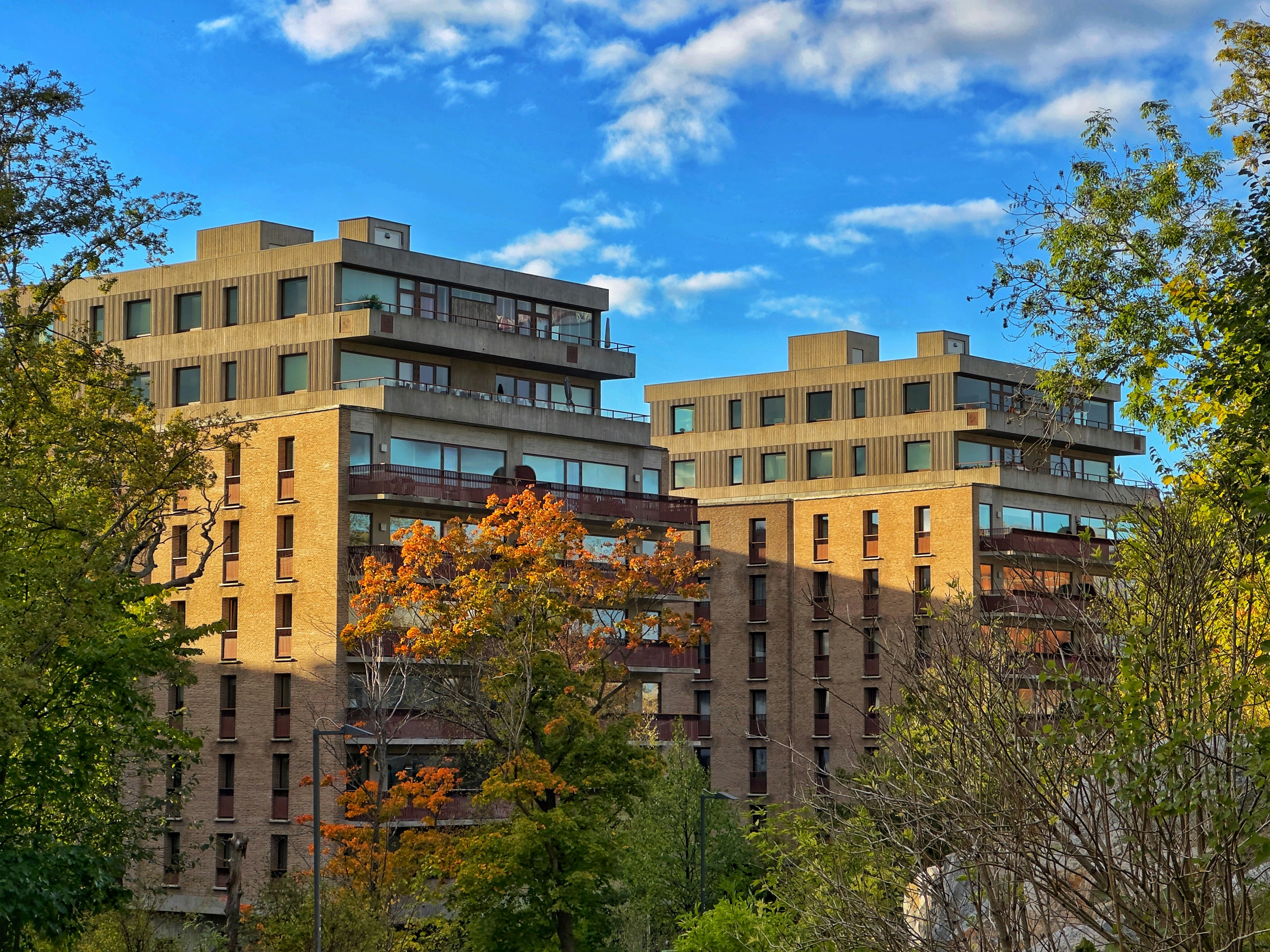 Photo by shreshth_24