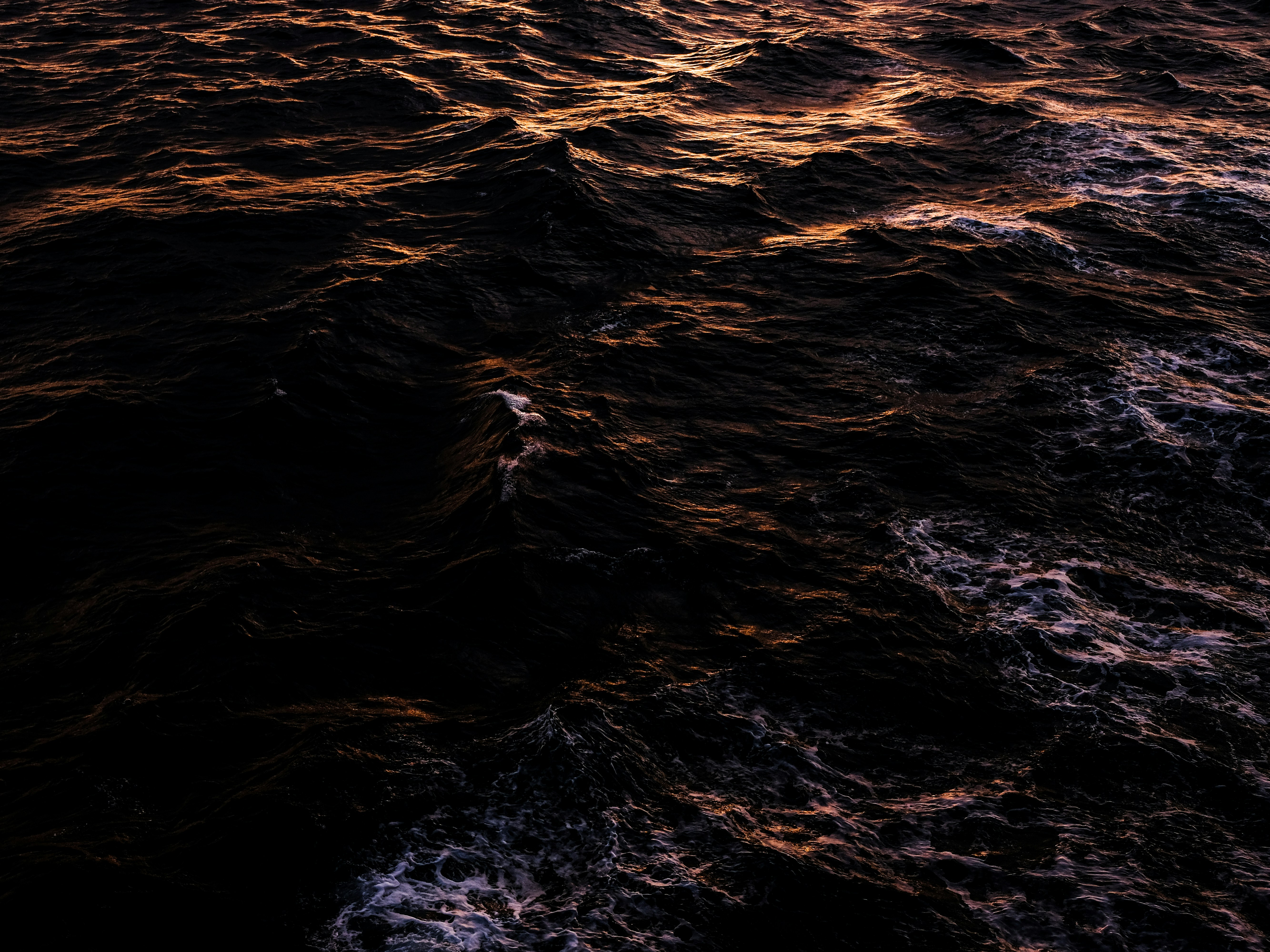 Dark ocean waves with golden light reflections
