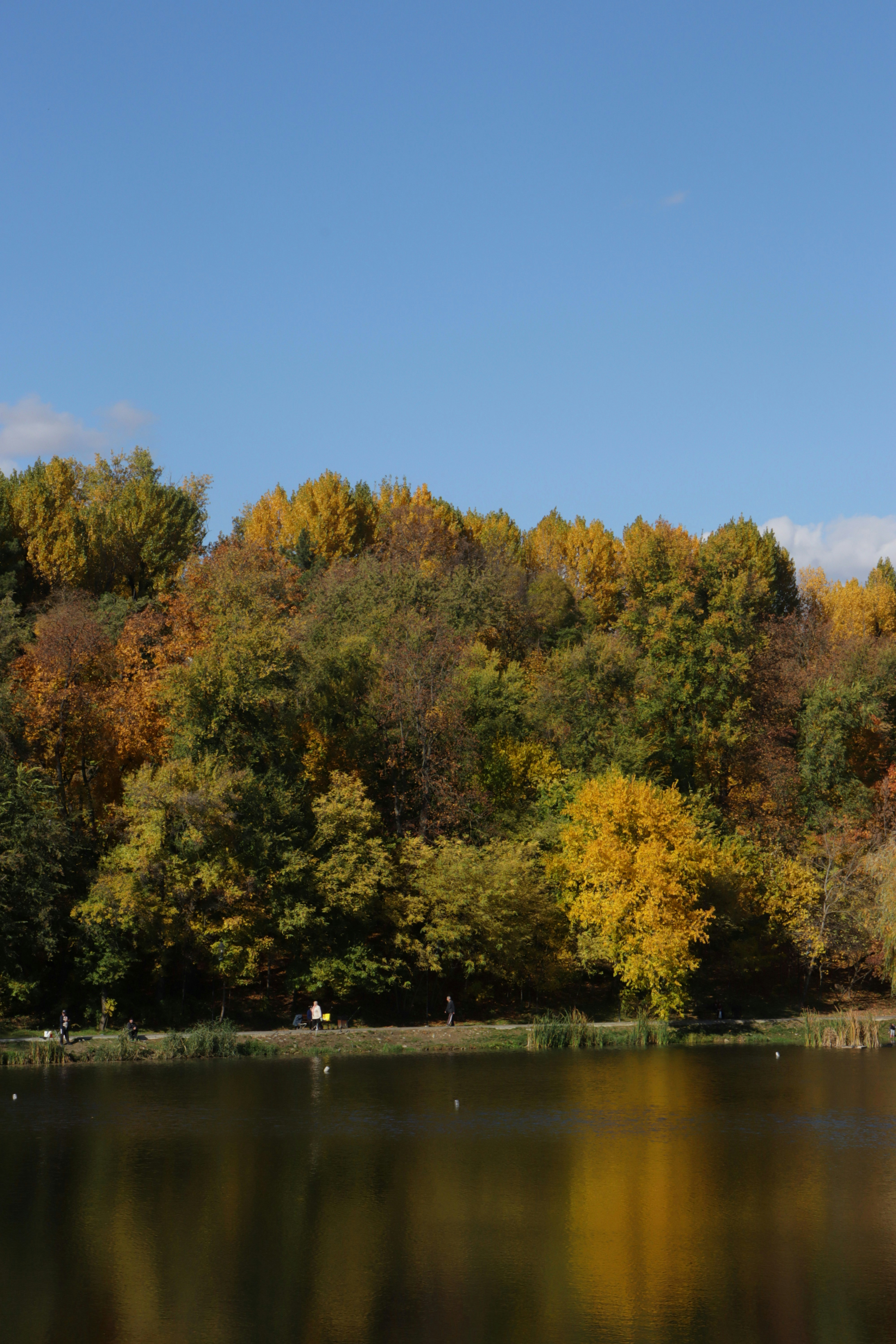 Photo by bored_mongoose