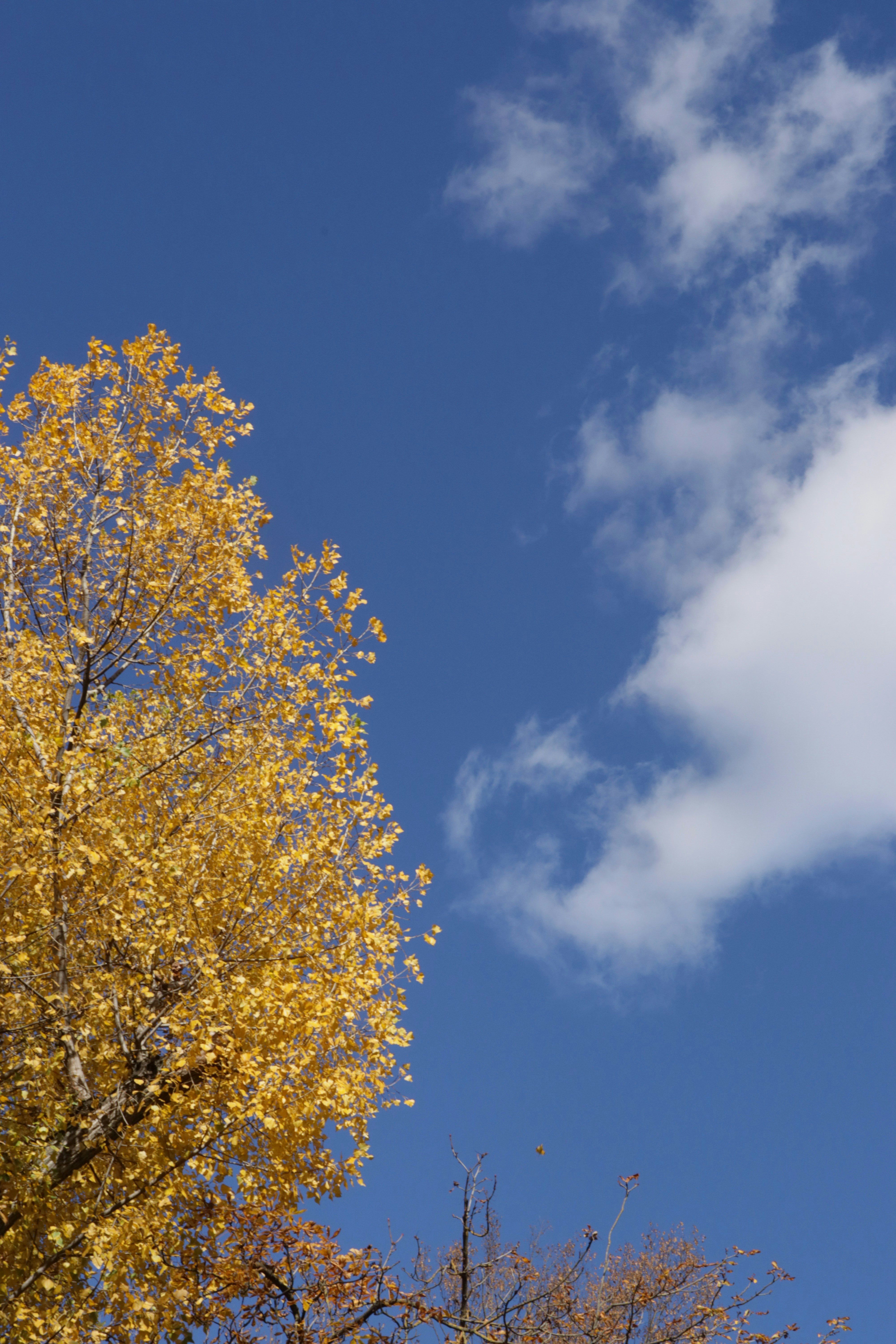 Photo by bored_mongoose