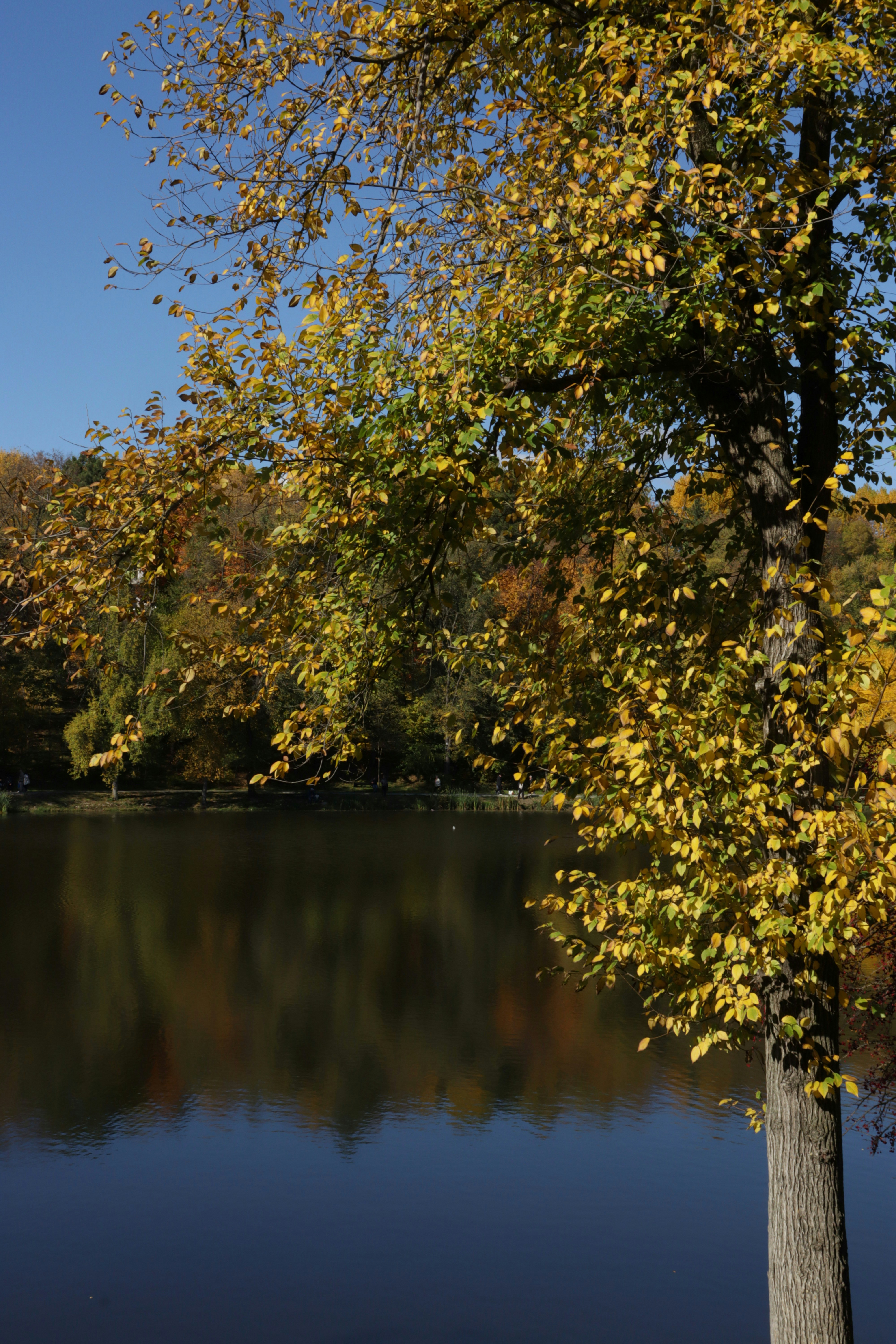 Photo by bored_mongoose