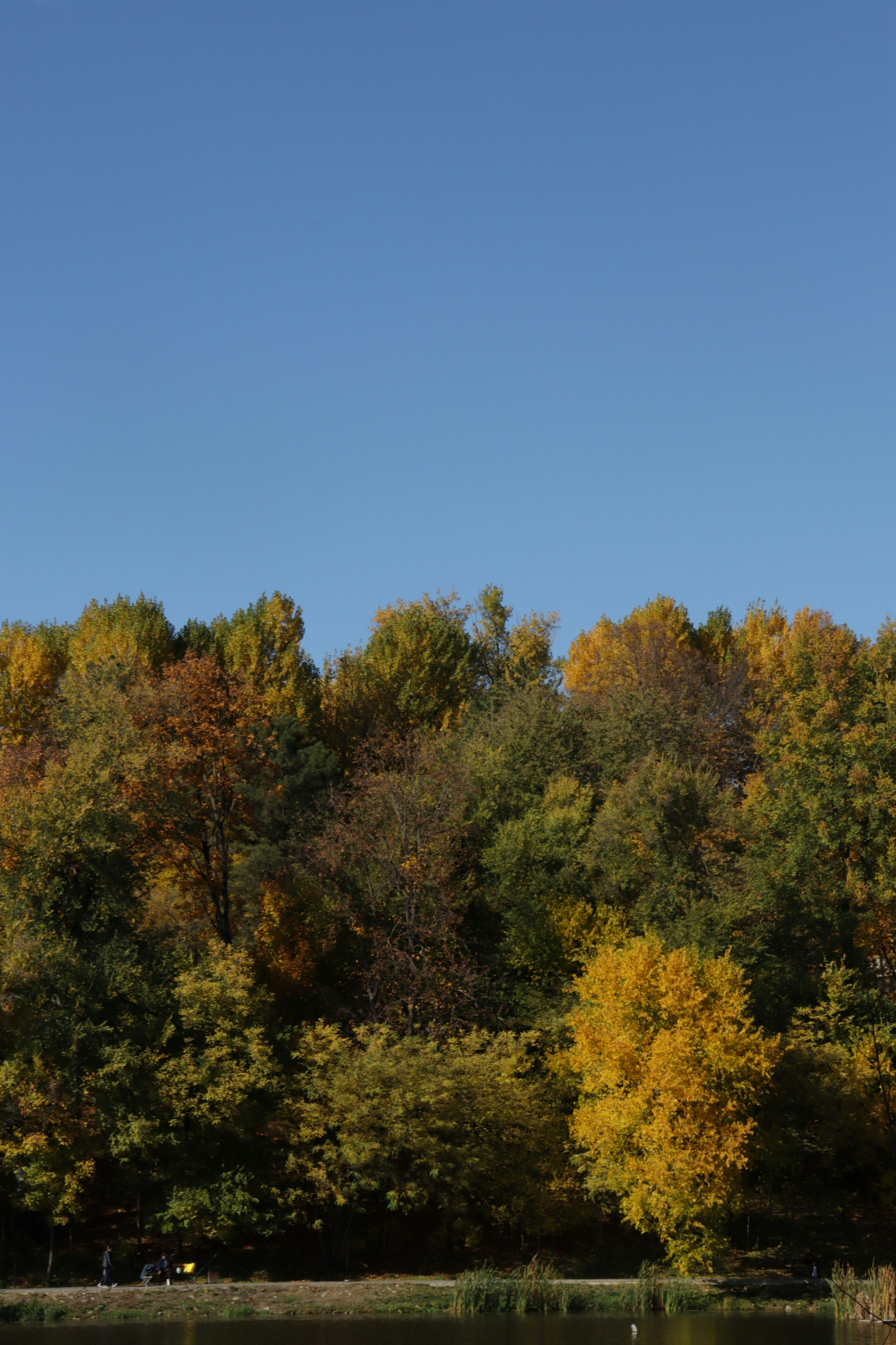 Photo by bored_mongoose