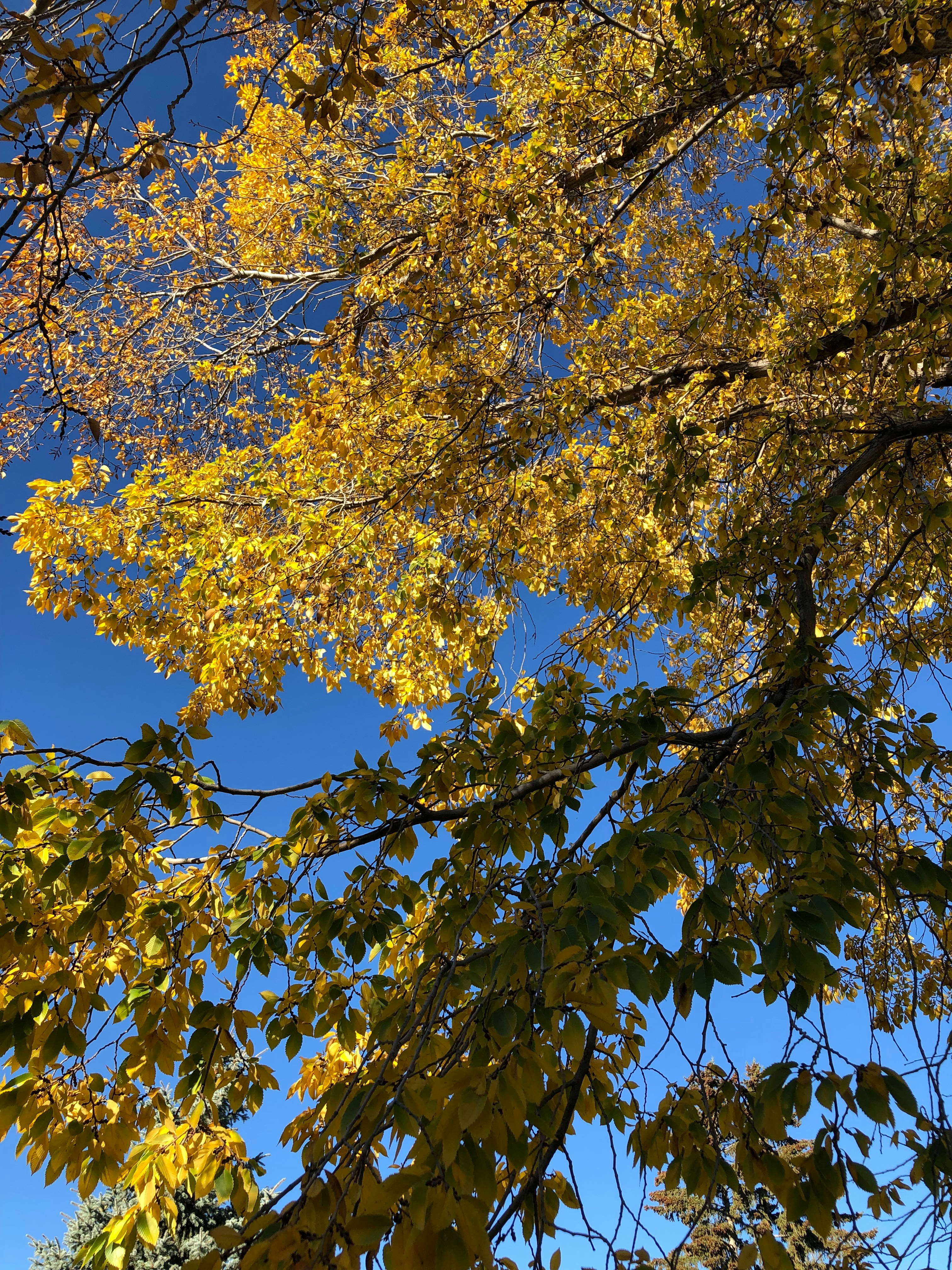 Photo by jf_kaufmann