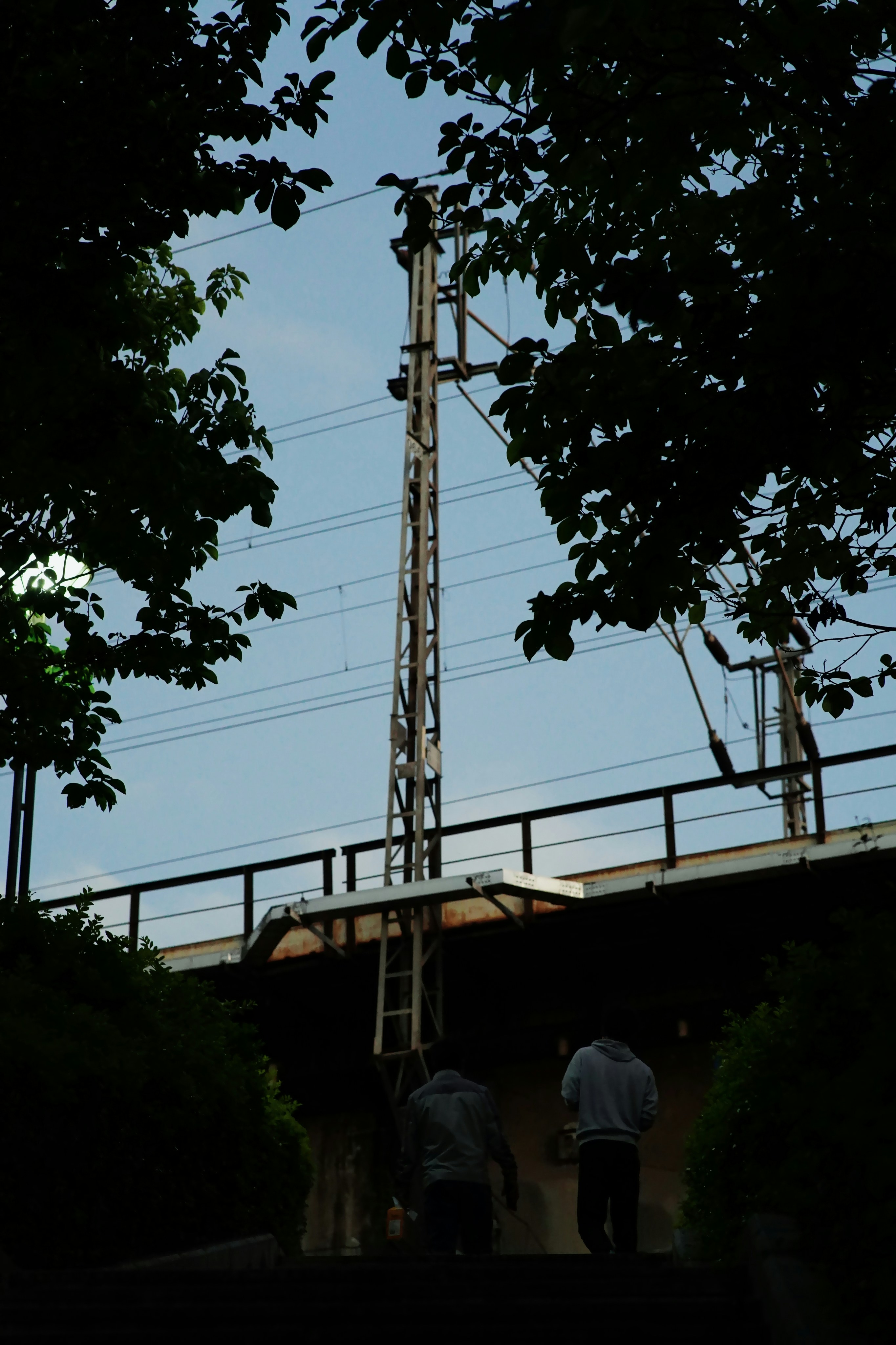 Two people walk towards a railway bridge under trees.