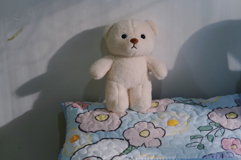 Plush teddy bear