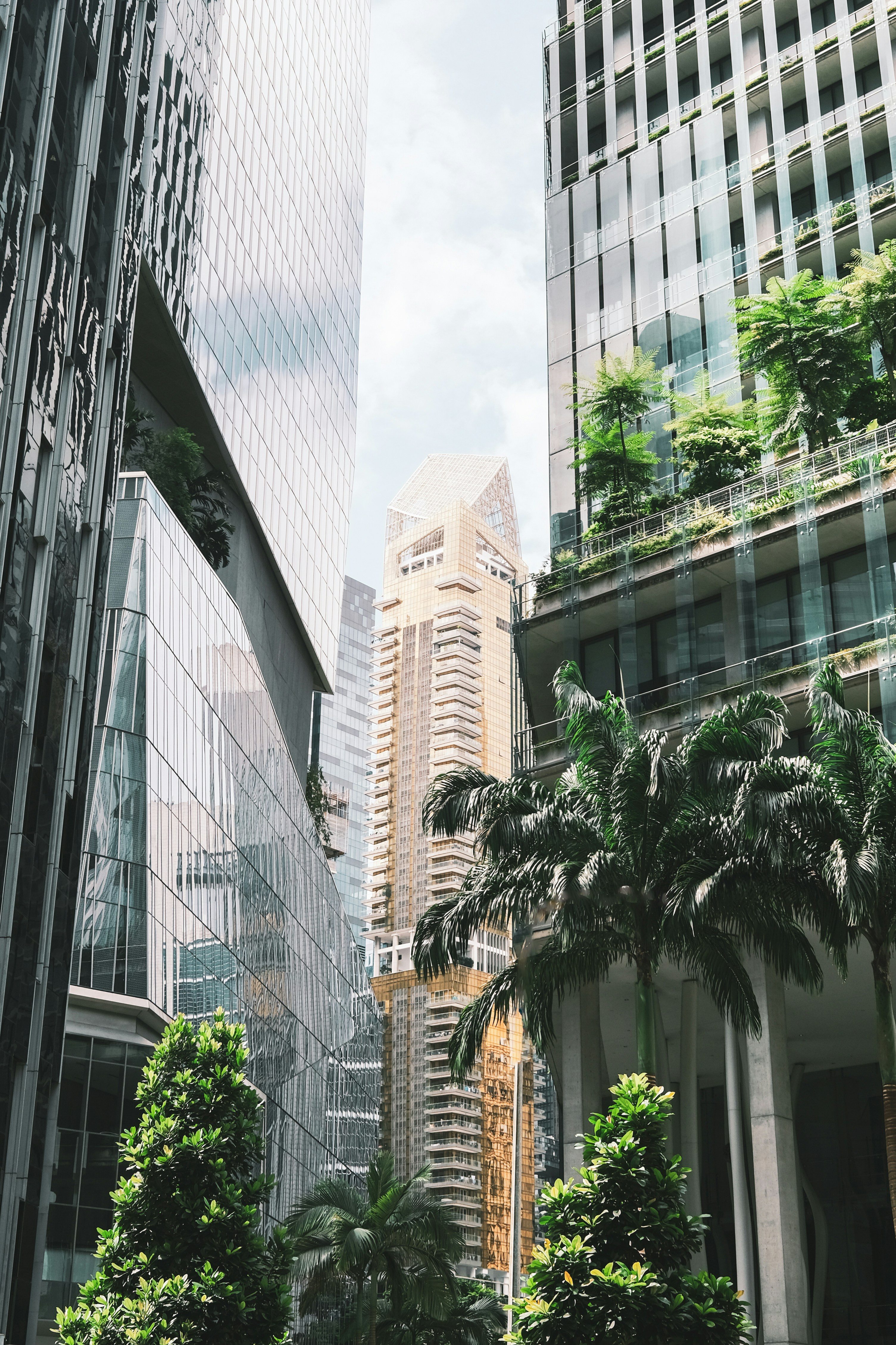 A stunning urban landscape showcasing modern architectural design in a dense city environment, featuring sleek glass skyscrapers interspersed with lush tropical greenery. The image captures the harmony between contemporary urban architecture and natural elements, with reflective surfaces and verdant palm trees and shrubs creating a sophisticated, cosmopolitan atmosphere.