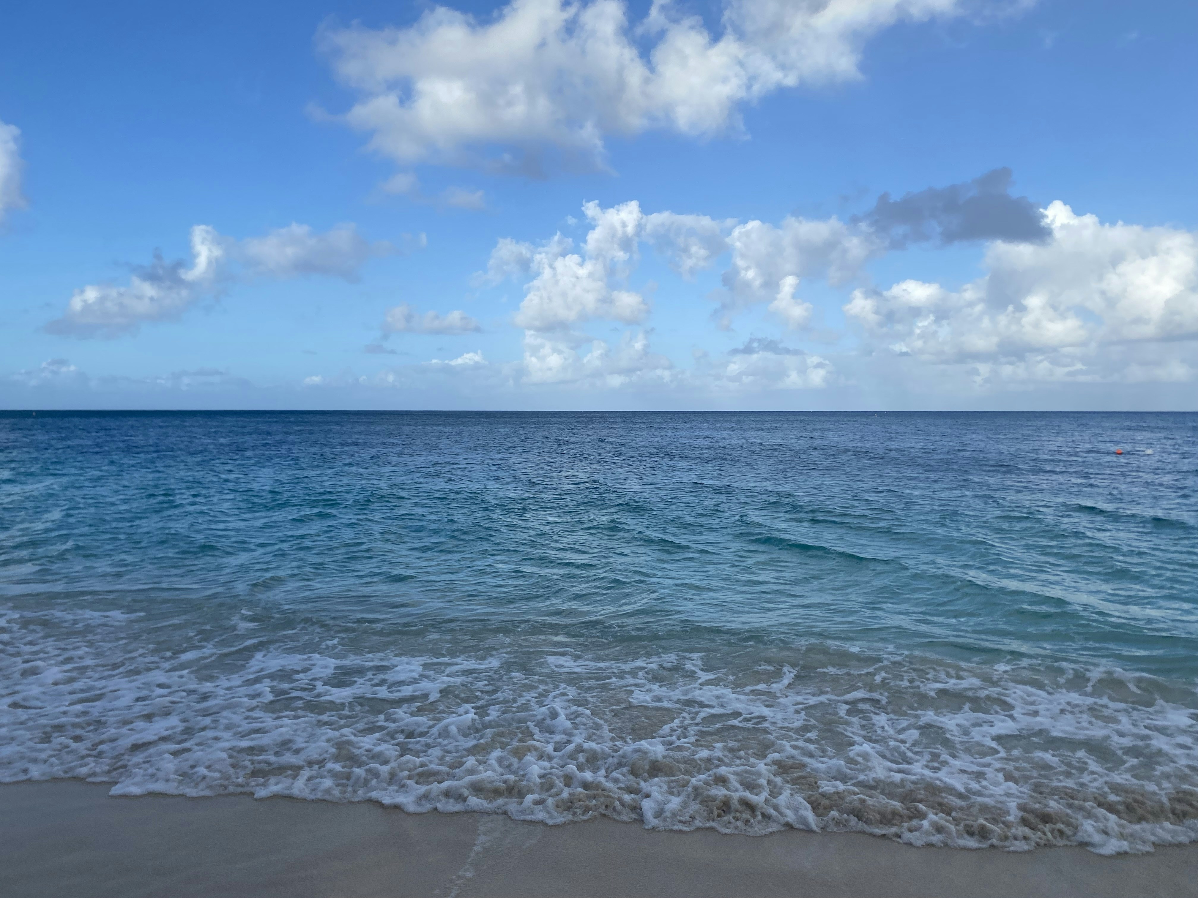 Photo by rumbidzaichido