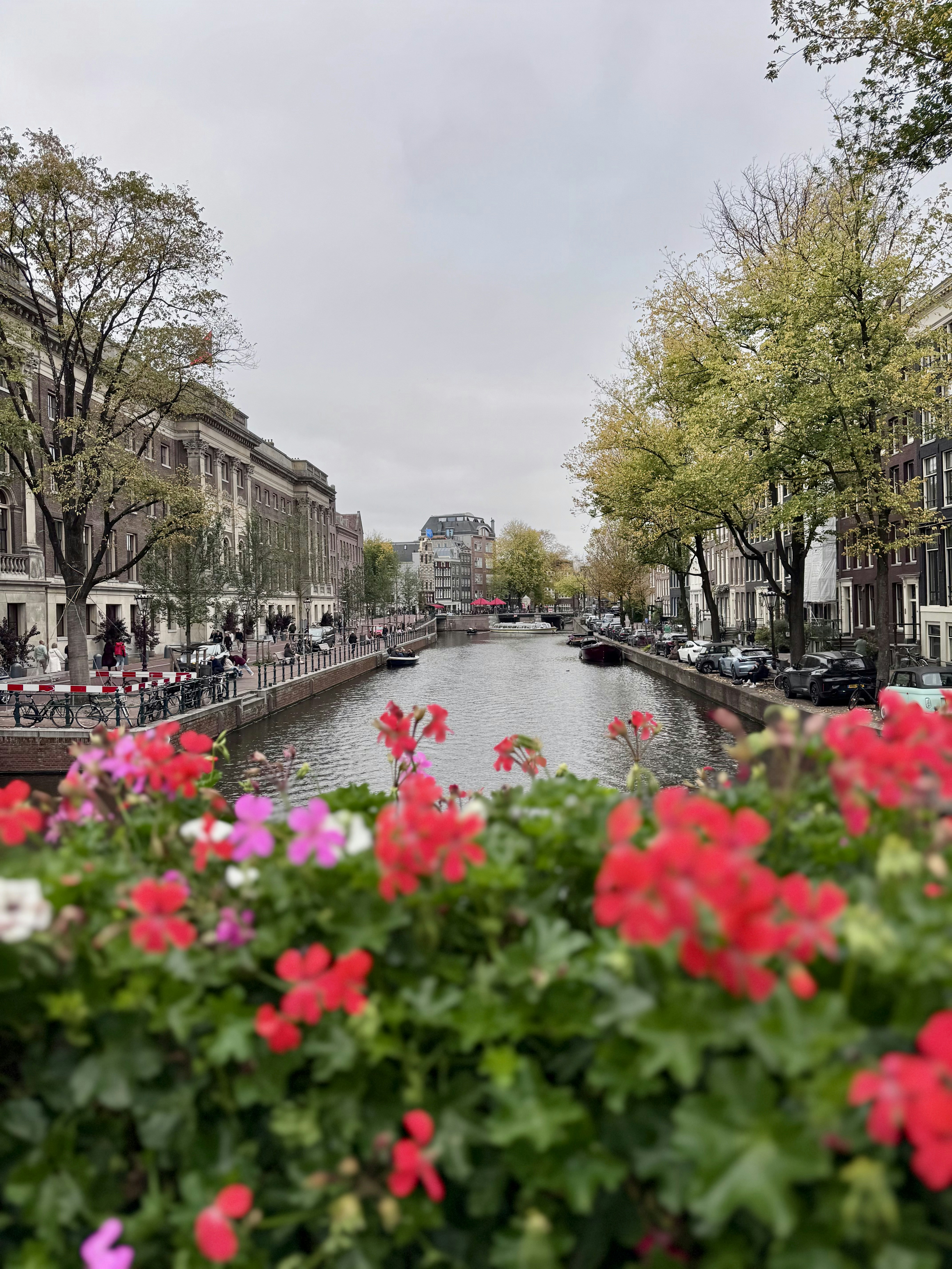 Photo by ioanavalentina