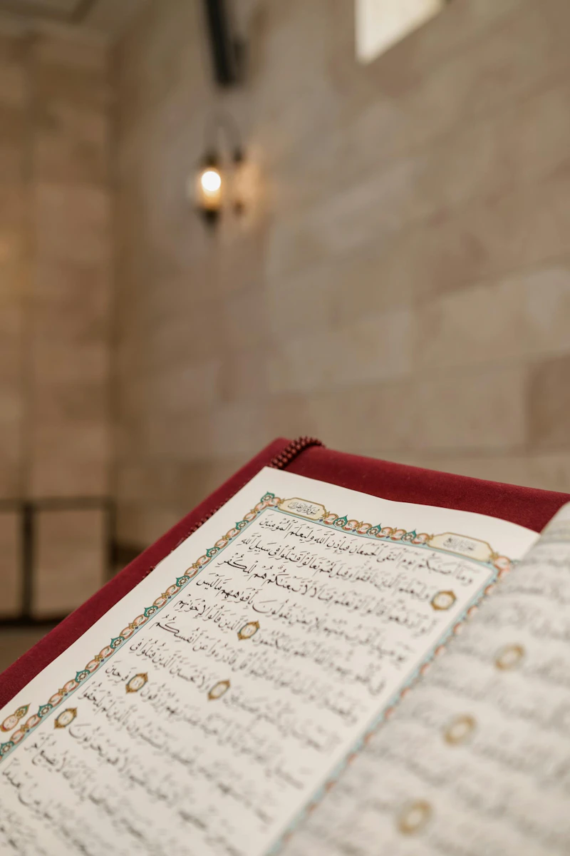 Open Quran pages for Tafseer study and reflection