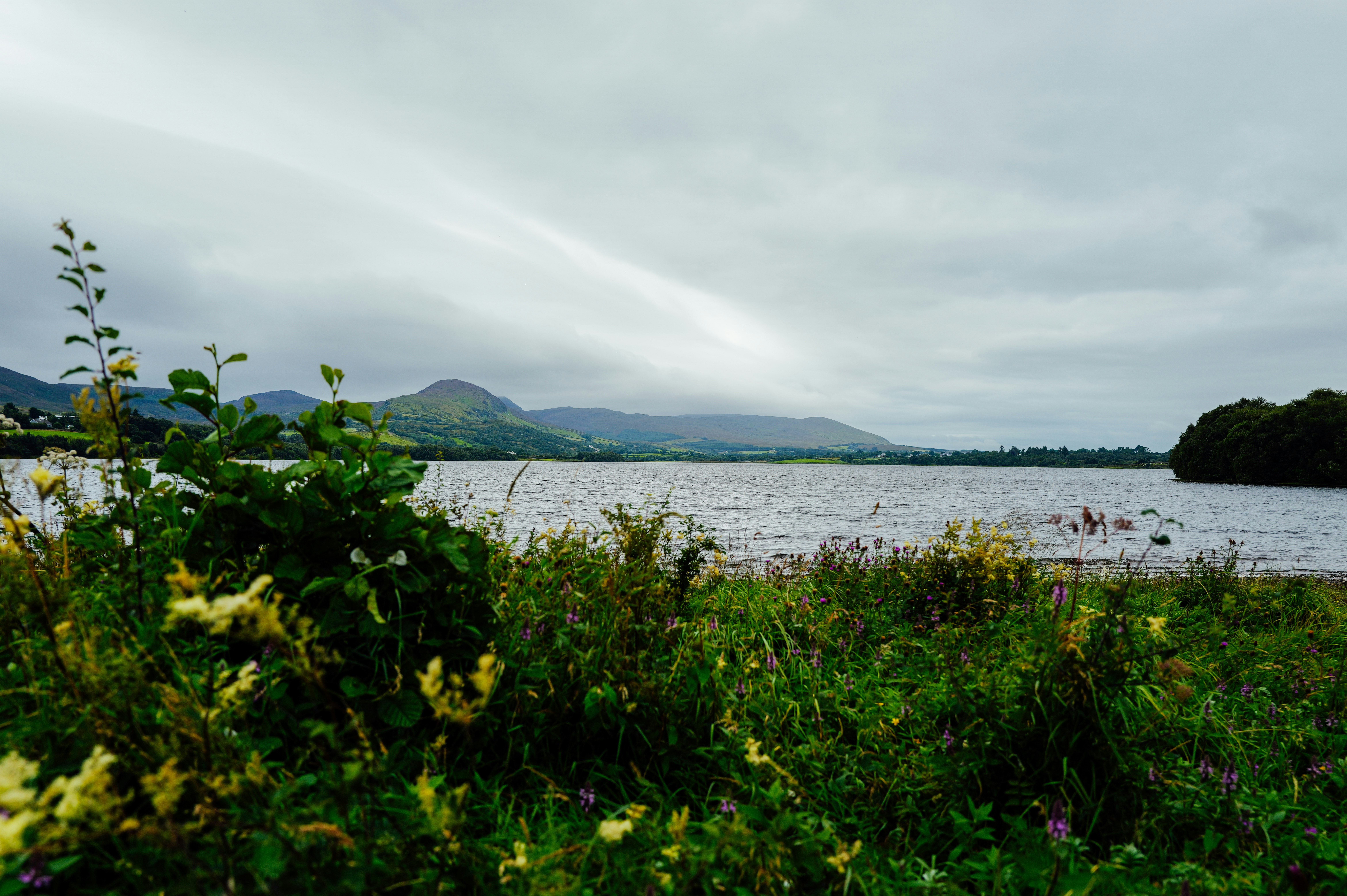 Photo by adrienolichon