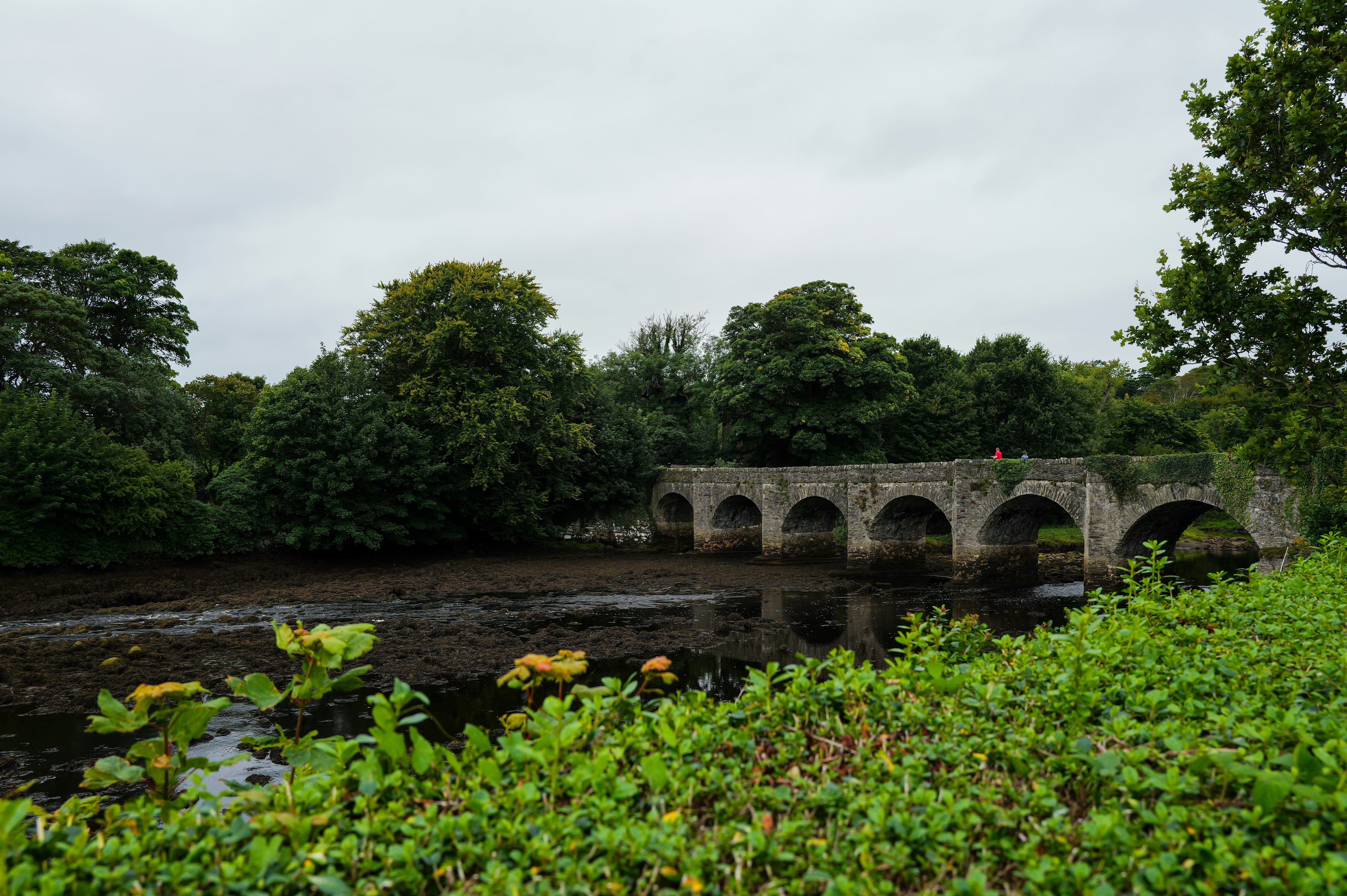 Photo by adrienolichon